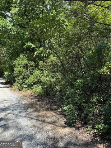 0 Crumley Creek Road Sautee Nacoochee GA 30571