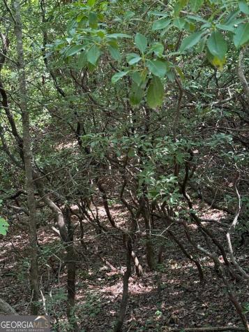 0 Crumley Creek Road Sautee Nacoochee GA 30571