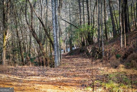 5.15 Ac Spence Road Blue Ridge GA 30513