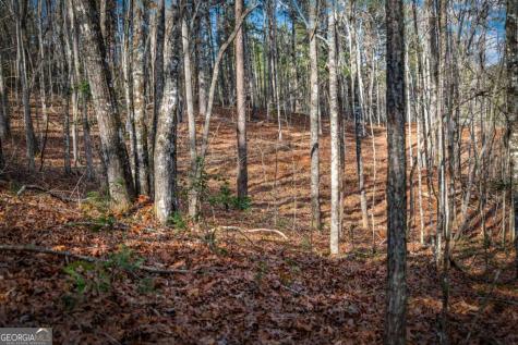 5.15 Ac Spence Road Blue Ridge GA 30513