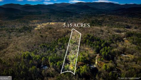 5.15 Ac Spence Road Blue Ridge GA 30513