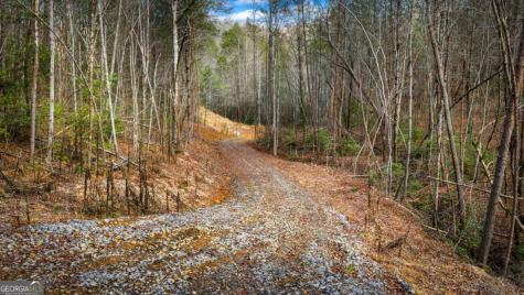 5.15 Ac Spence Road Blue Ridge GA 30513