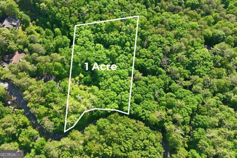 18 Y Grimes Nose Sautee Nacoochee GA 30571