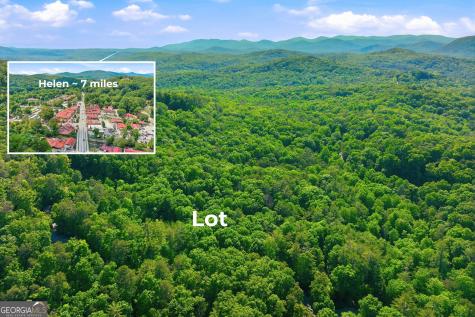 18 Y Grimes Nose Sautee Nacoochee GA 30571