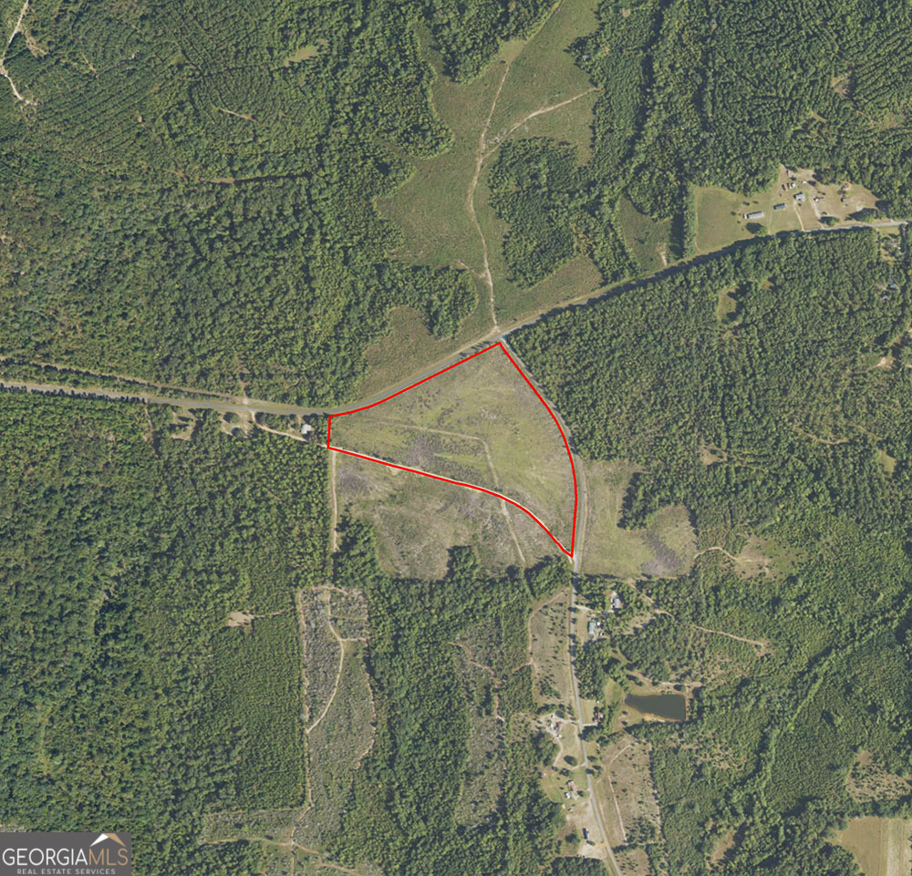 1 Pineville Road Buena Vista GA 31803