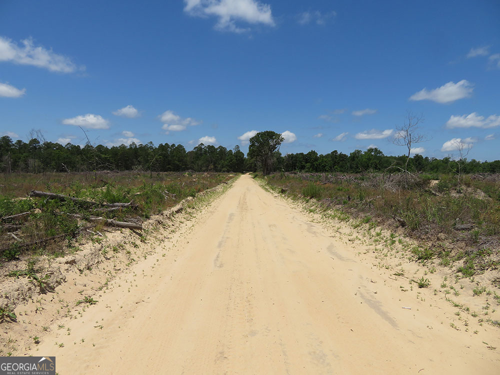 1 Pineville Road Buena Vista GA 31803