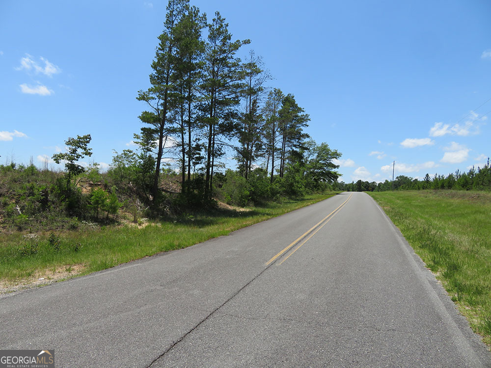 1 Pineville Road Buena Vista GA 31803