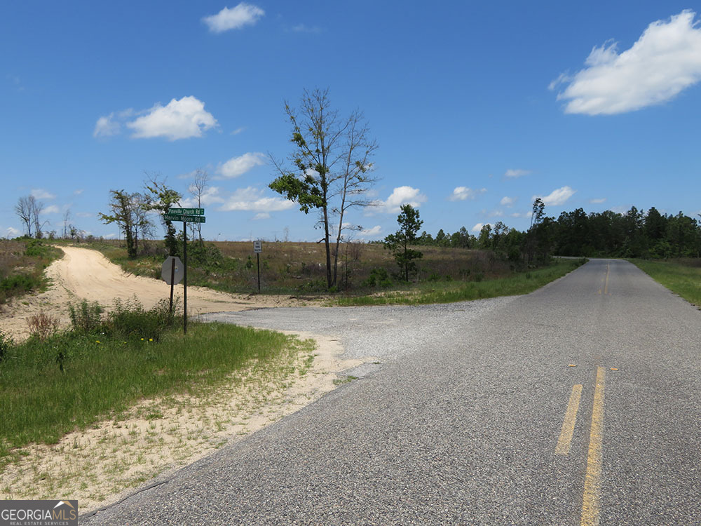 1 Pineville Road Buena Vista GA 31803