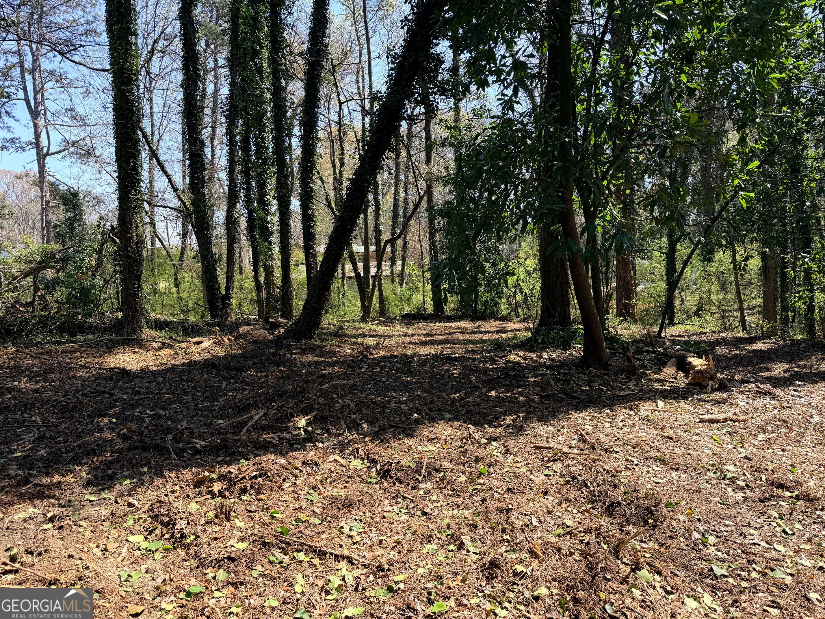 Lot 4 Miller Street Lithia Springs GA 30122