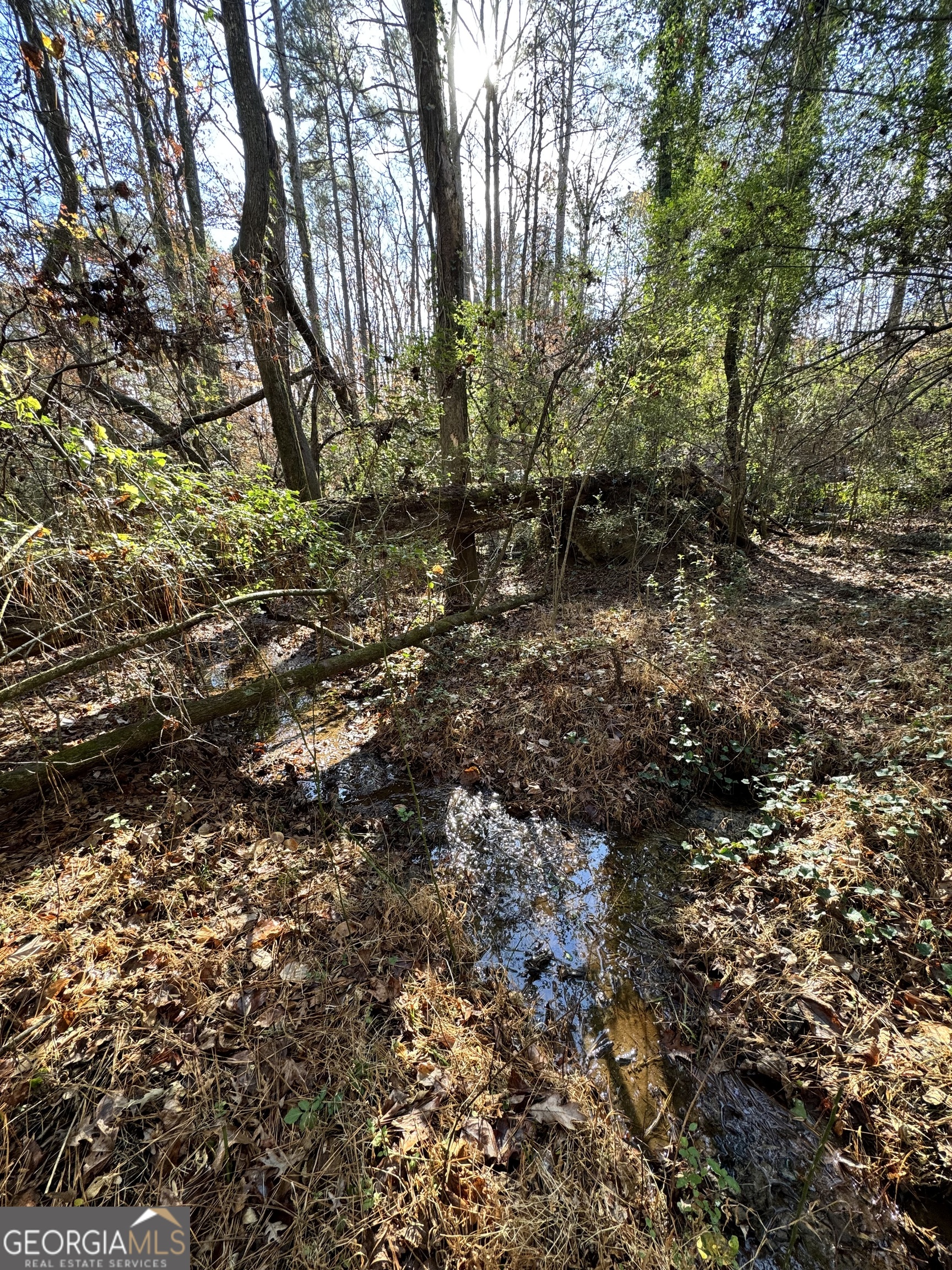 Lot 4 Miller Street Lithia Springs GA 30122
