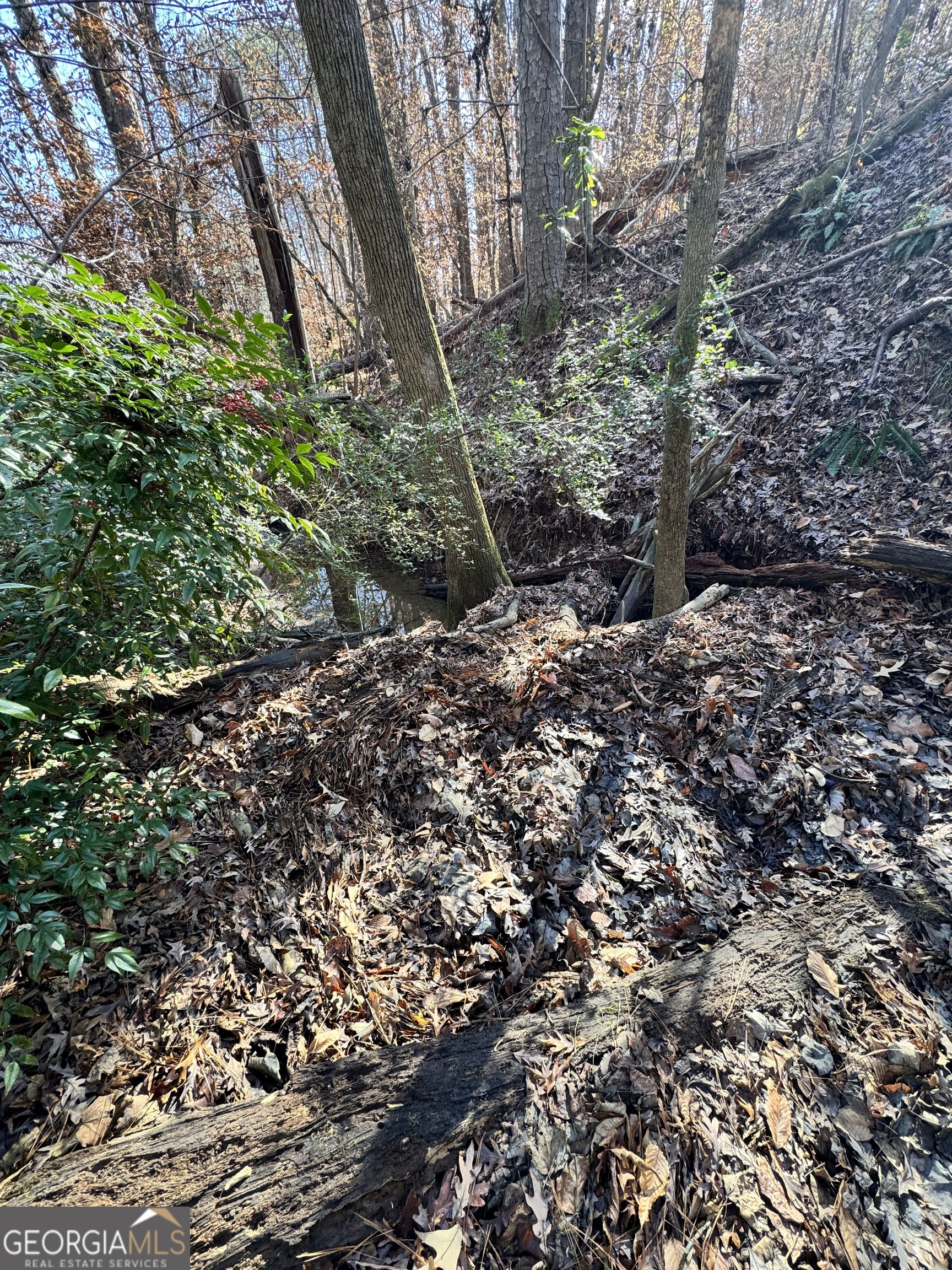 Lot 4 Miller Street Lithia Springs GA 30122