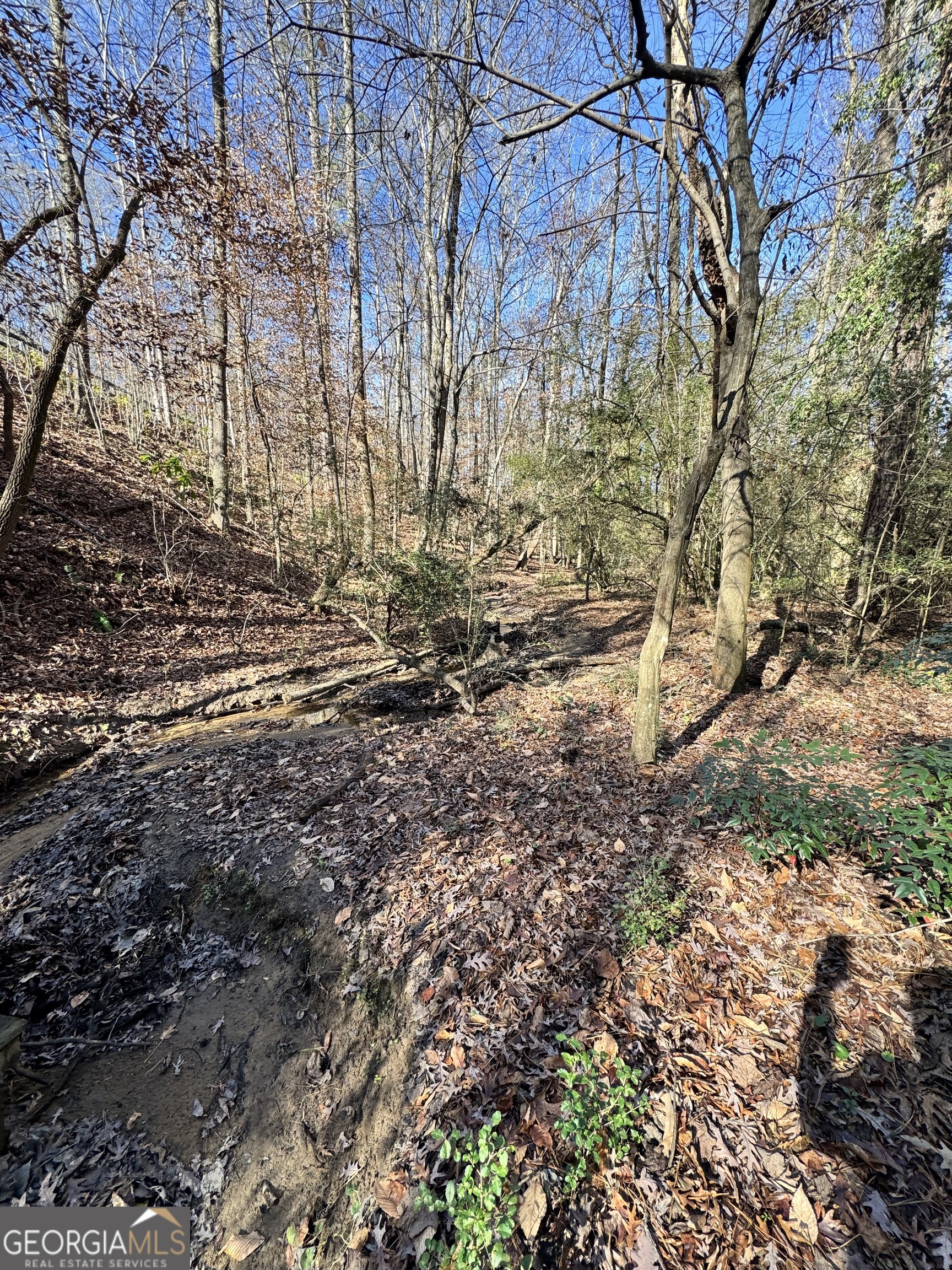 Lot 4 Miller Street Lithia Springs GA 30122