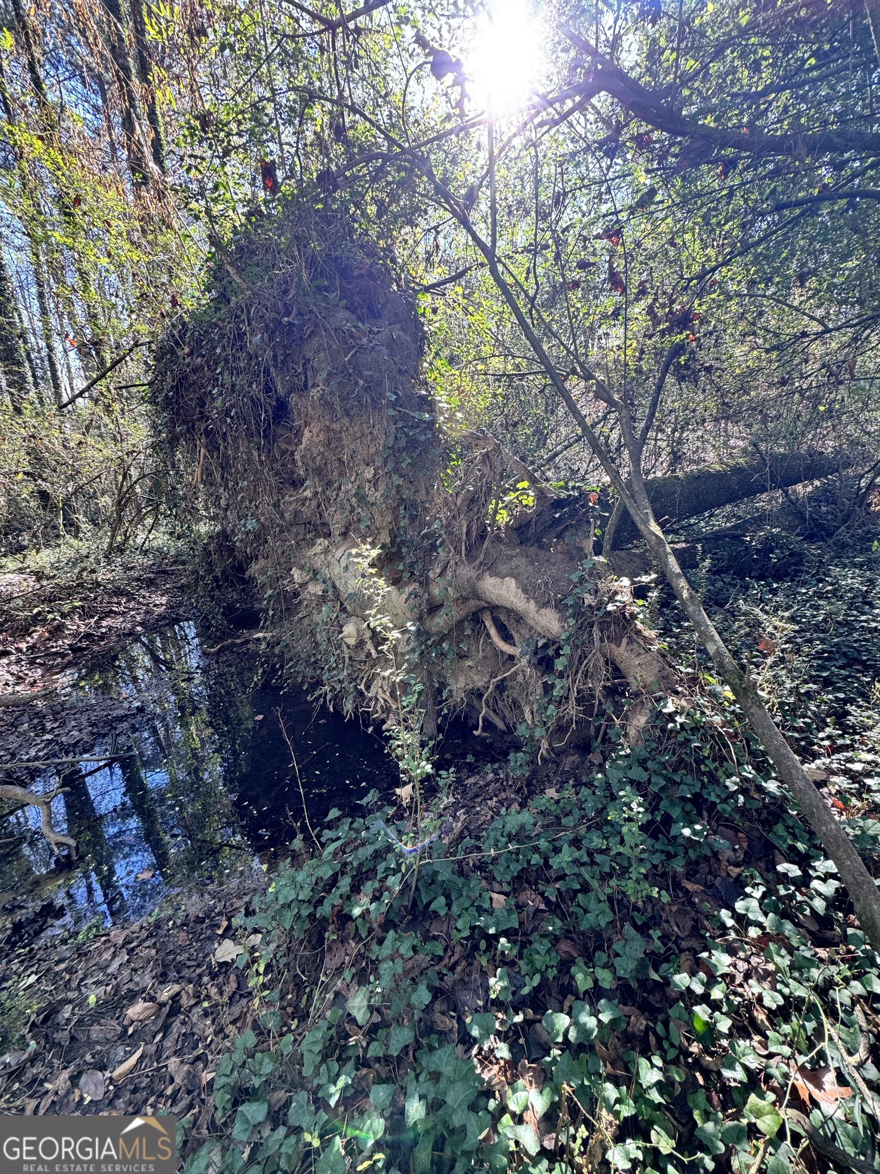 Lot 4 Miller Street Lithia Springs GA 30122