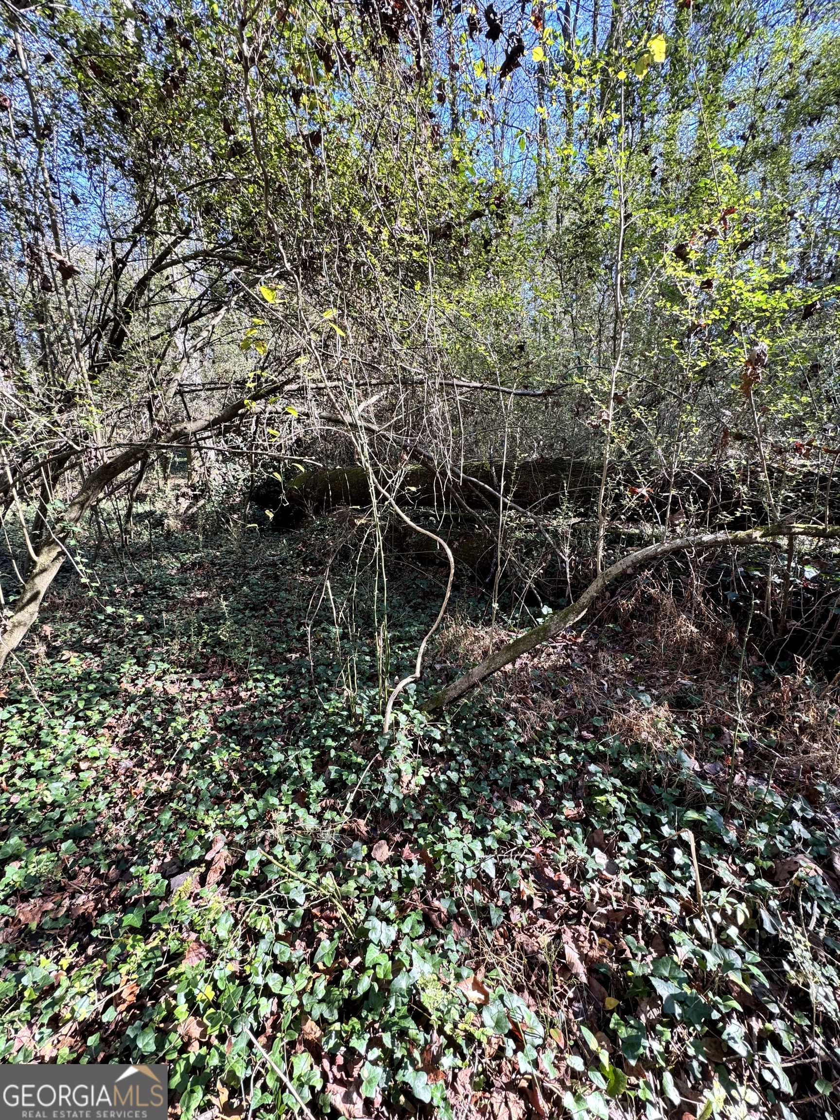 Lot 4 Miller Street Lithia Springs GA 30122