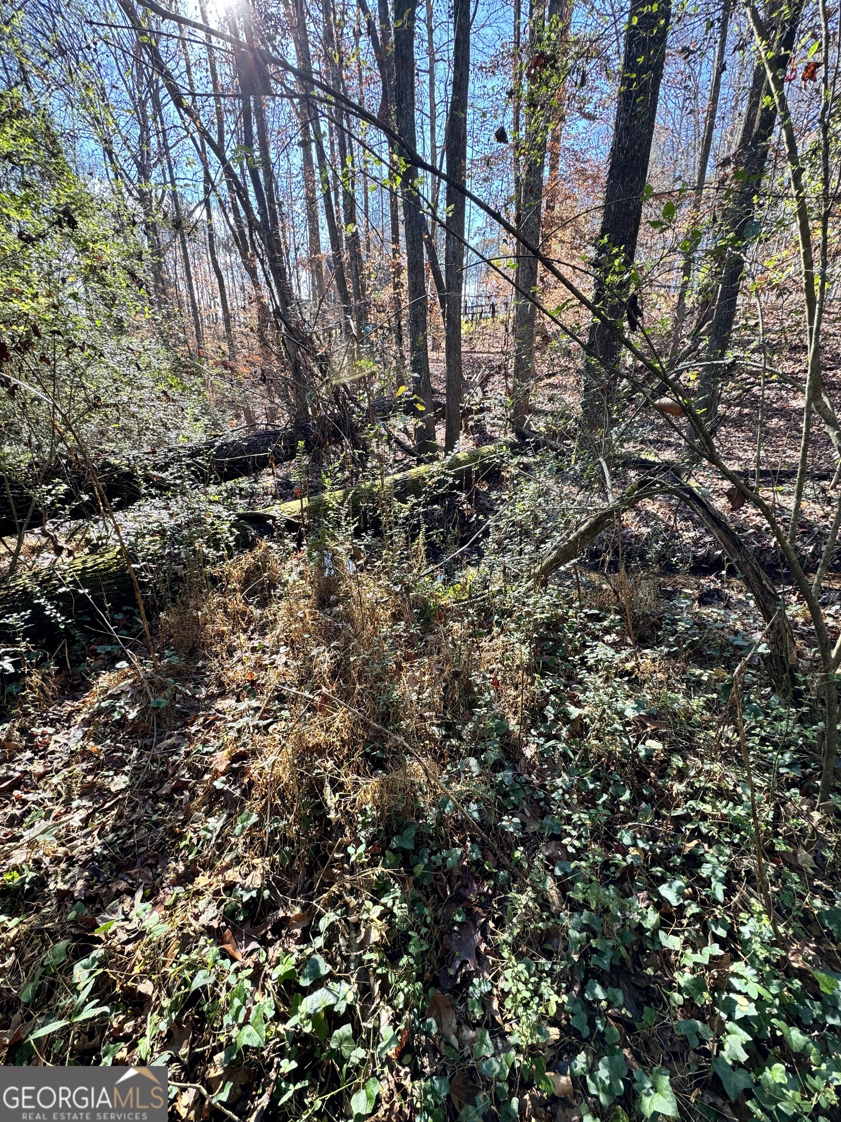 Lot 4 Miller Street Lithia Springs GA 30122