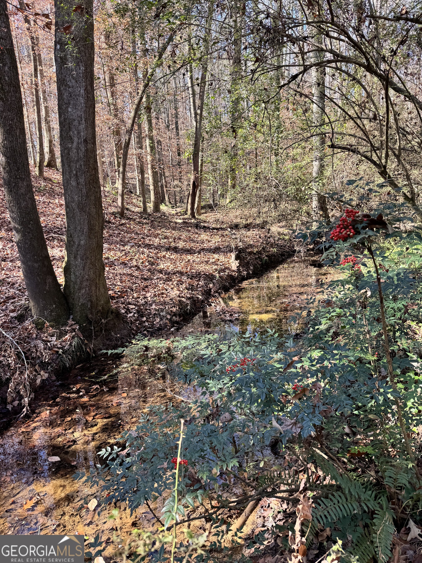 Lot 4 Miller Street Lithia Springs GA 30122