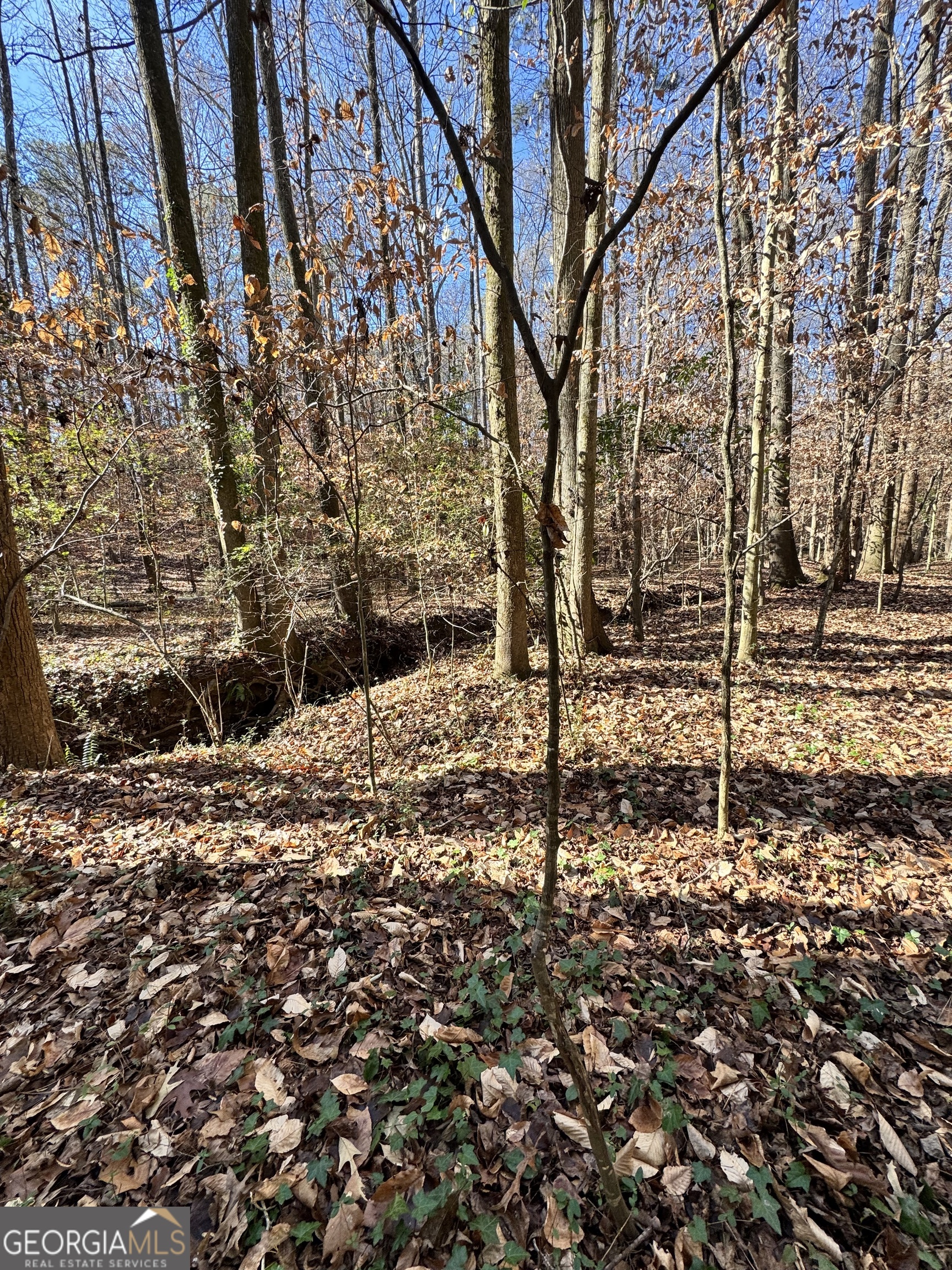 Lot 4 Miller Street Lithia Springs GA 30122