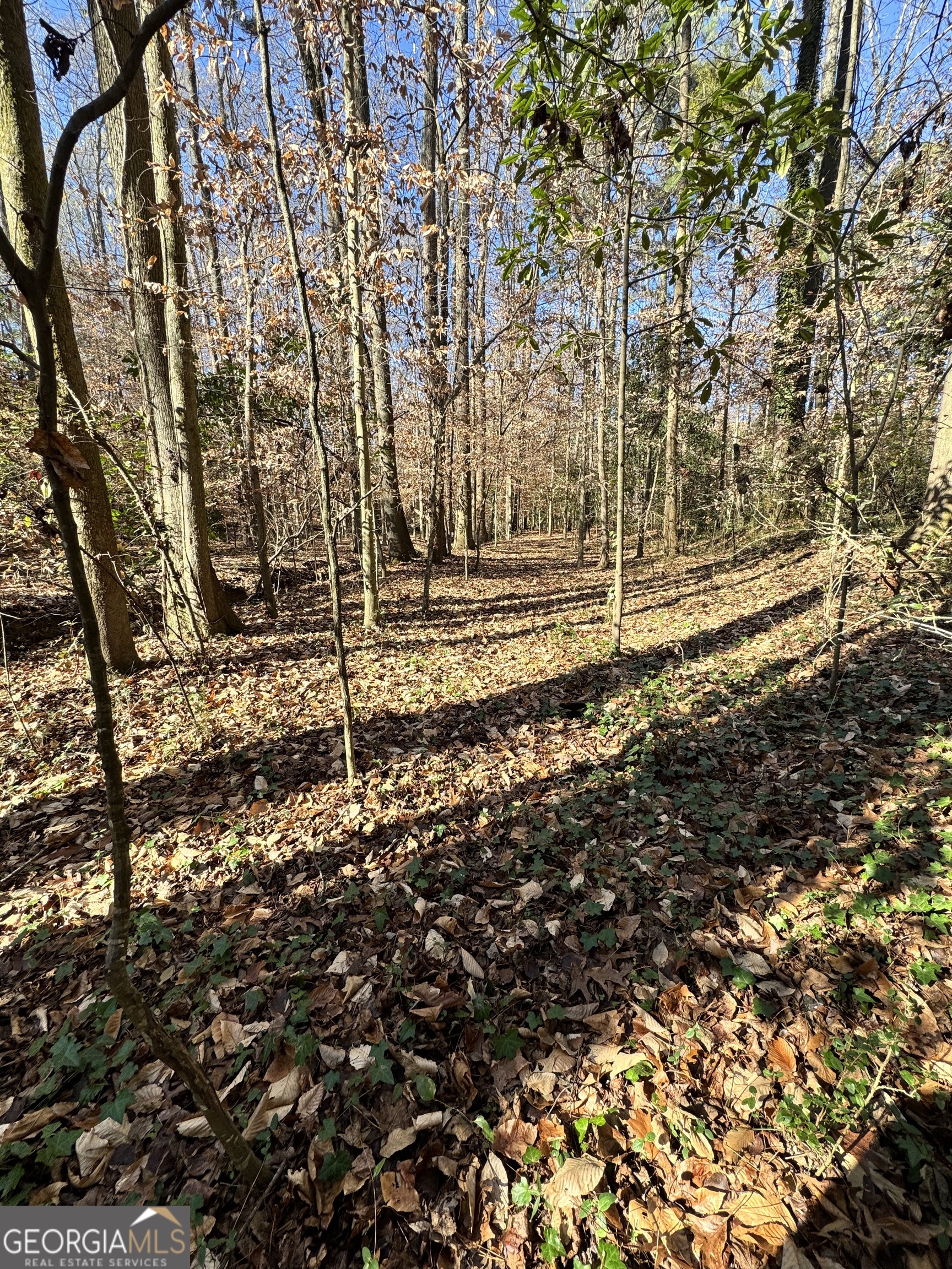Lot 4 Miller Street Lithia Springs GA 30122