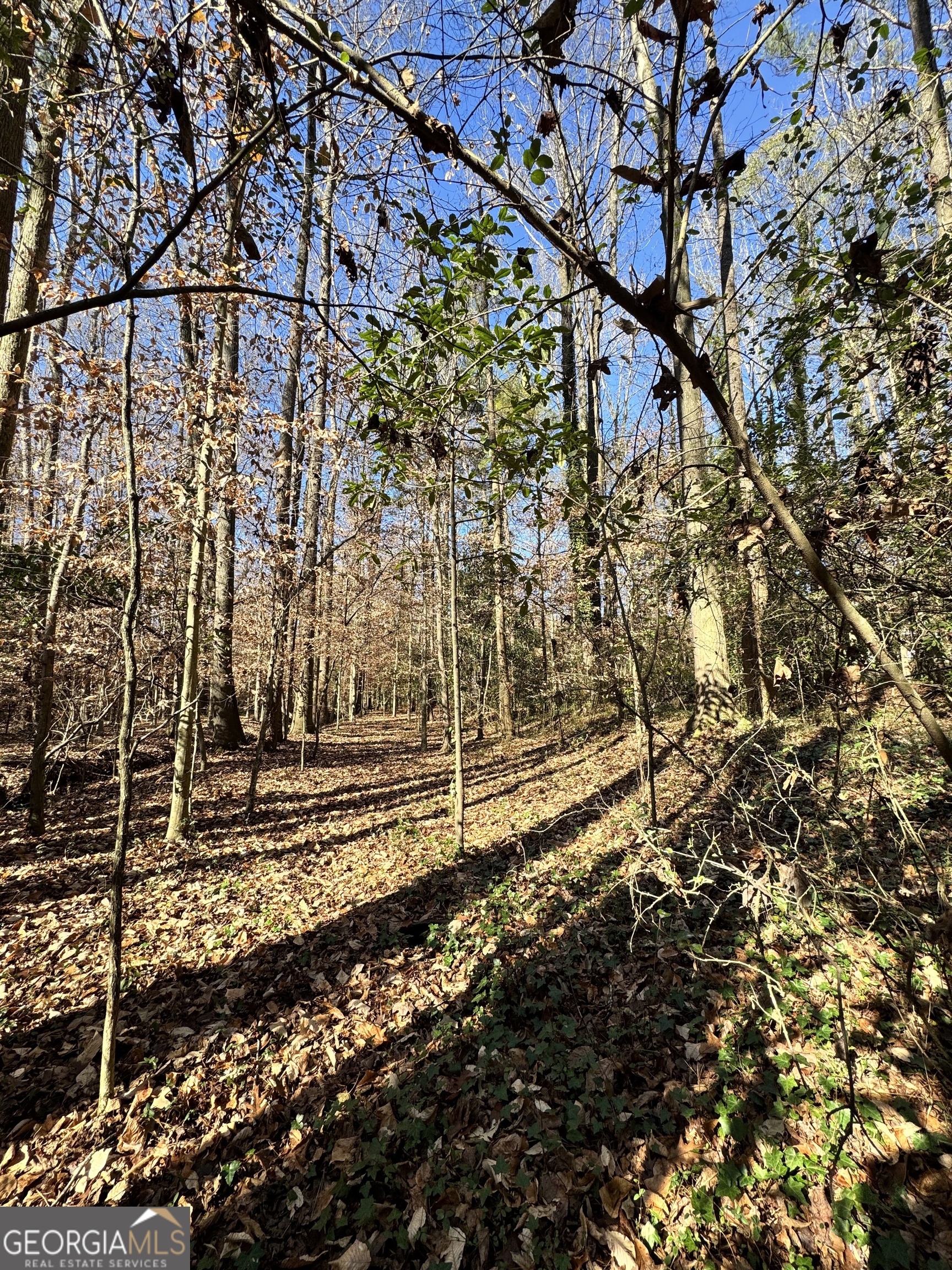 Lot 4 Miller Street Lithia Springs GA 30122