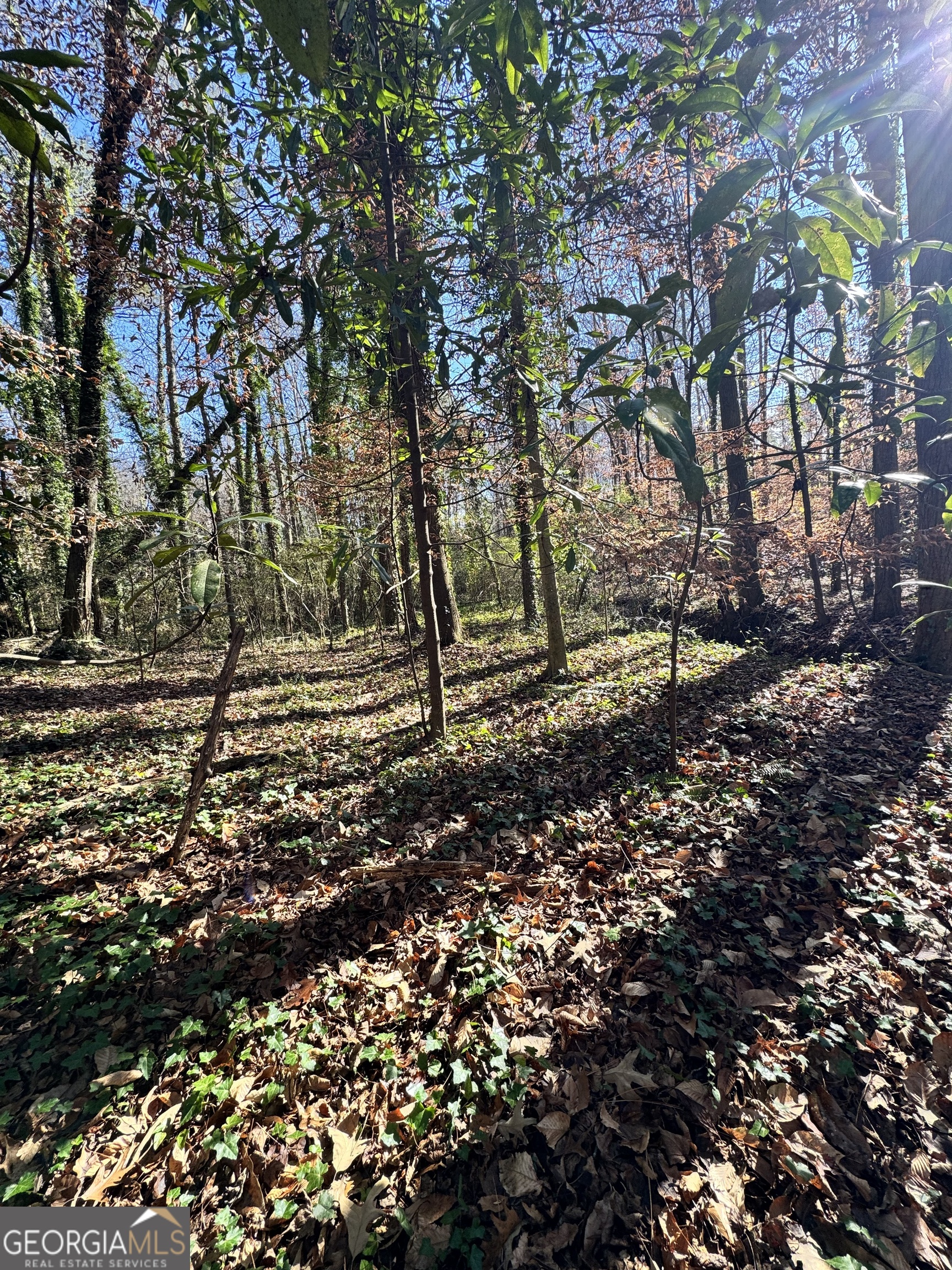 Lot 4 Miller Street Lithia Springs GA 30122
