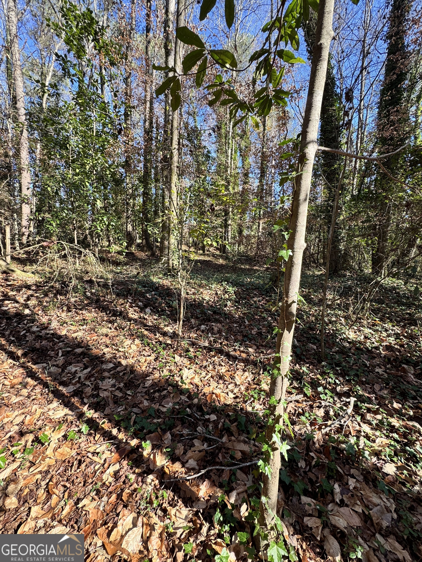 Lot 4 Miller Street Lithia Springs GA 30122