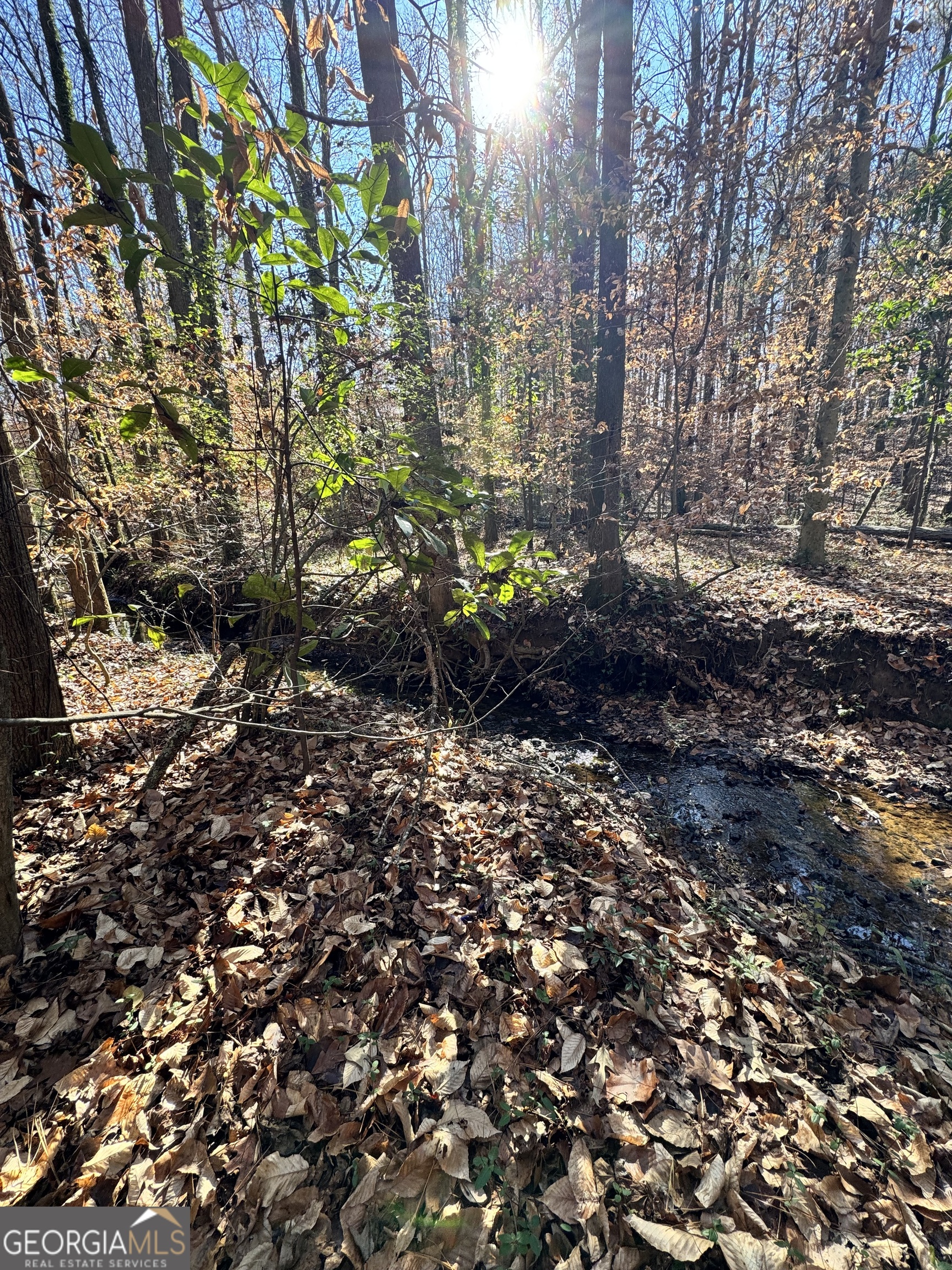 Lot 4 Miller Street Lithia Springs GA 30122