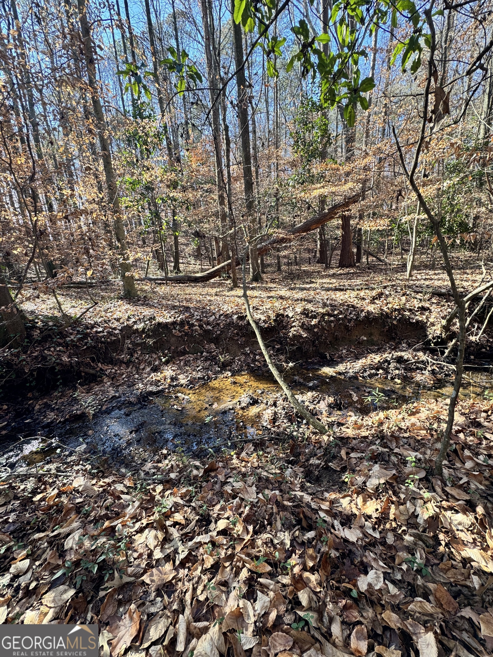 Lot 4 Miller Street Lithia Springs GA 30122