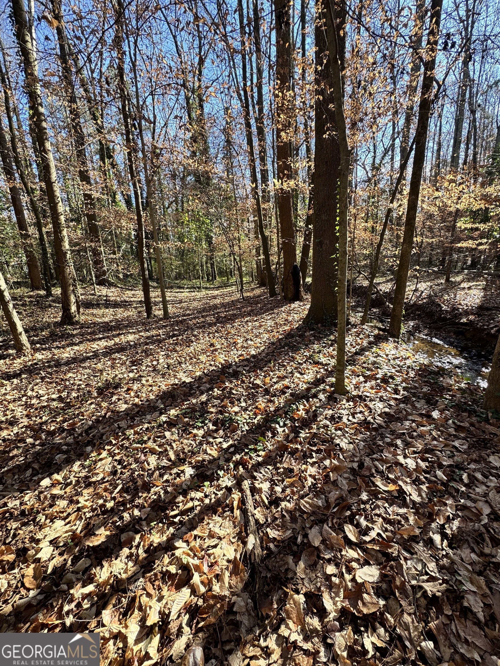 Lot 4 Miller Street Lithia Springs GA 30122