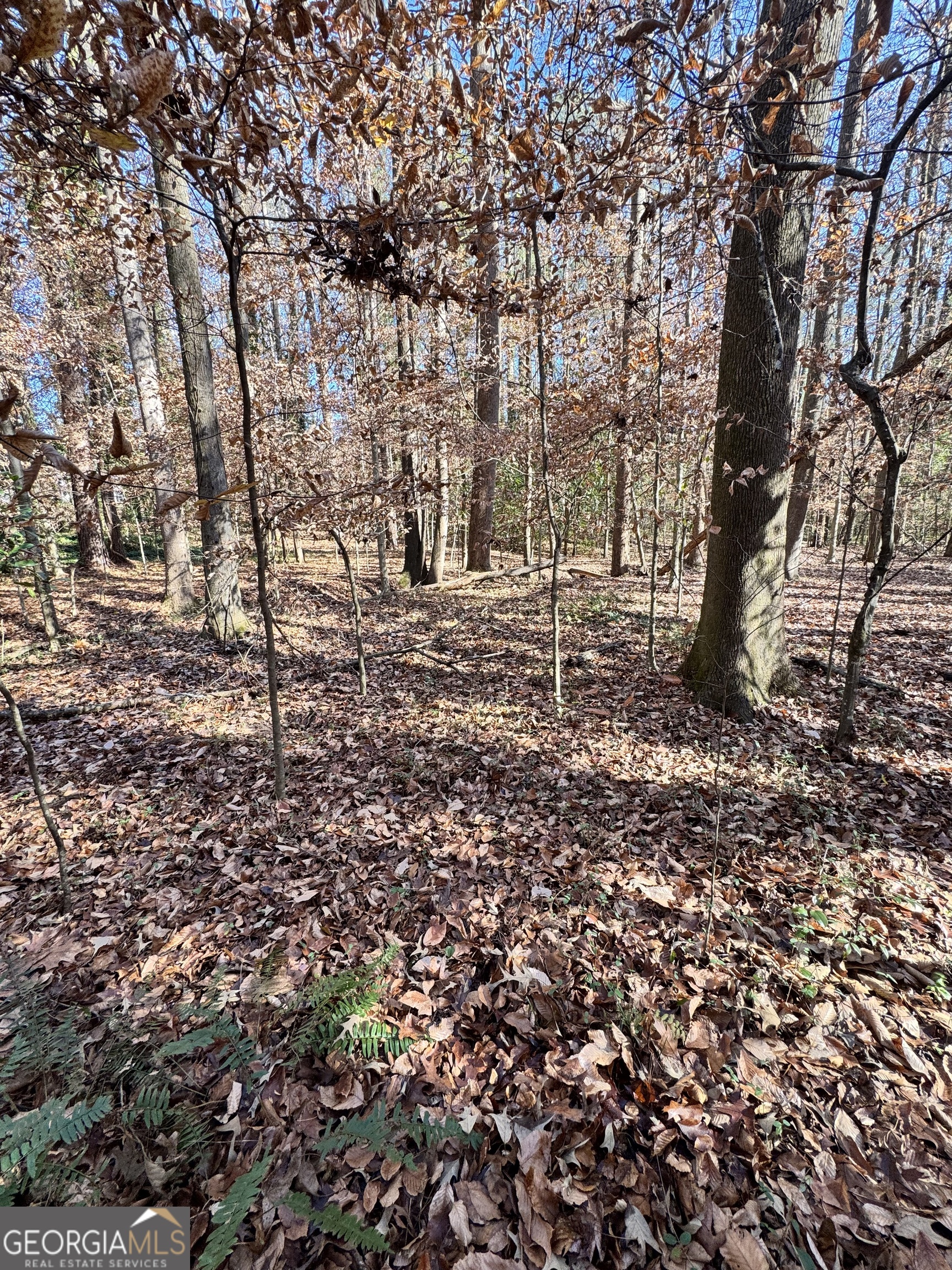 Lot 4 Miller Street Lithia Springs GA 30122