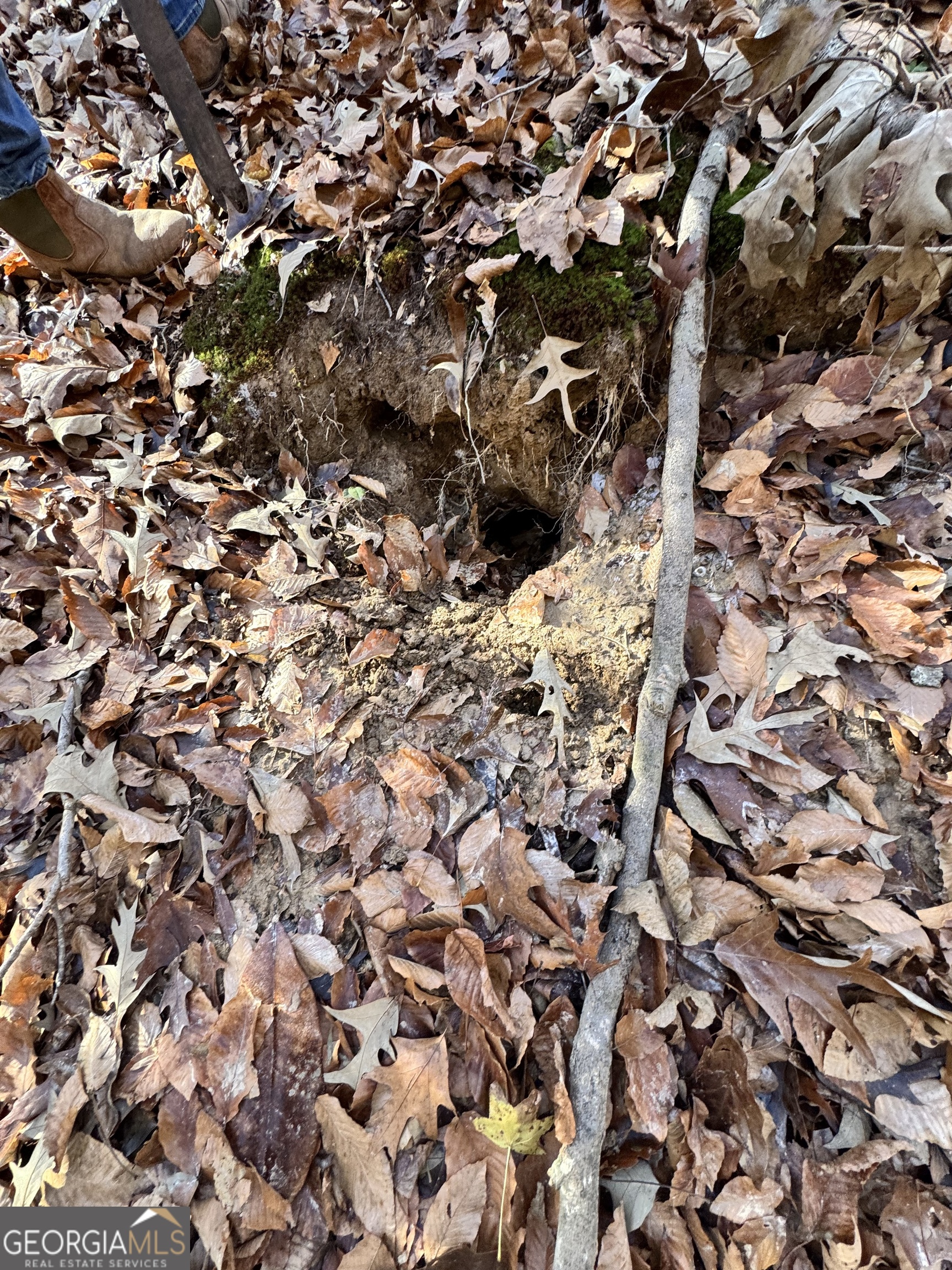 Lot 4 Miller Street Lithia Springs GA 30122