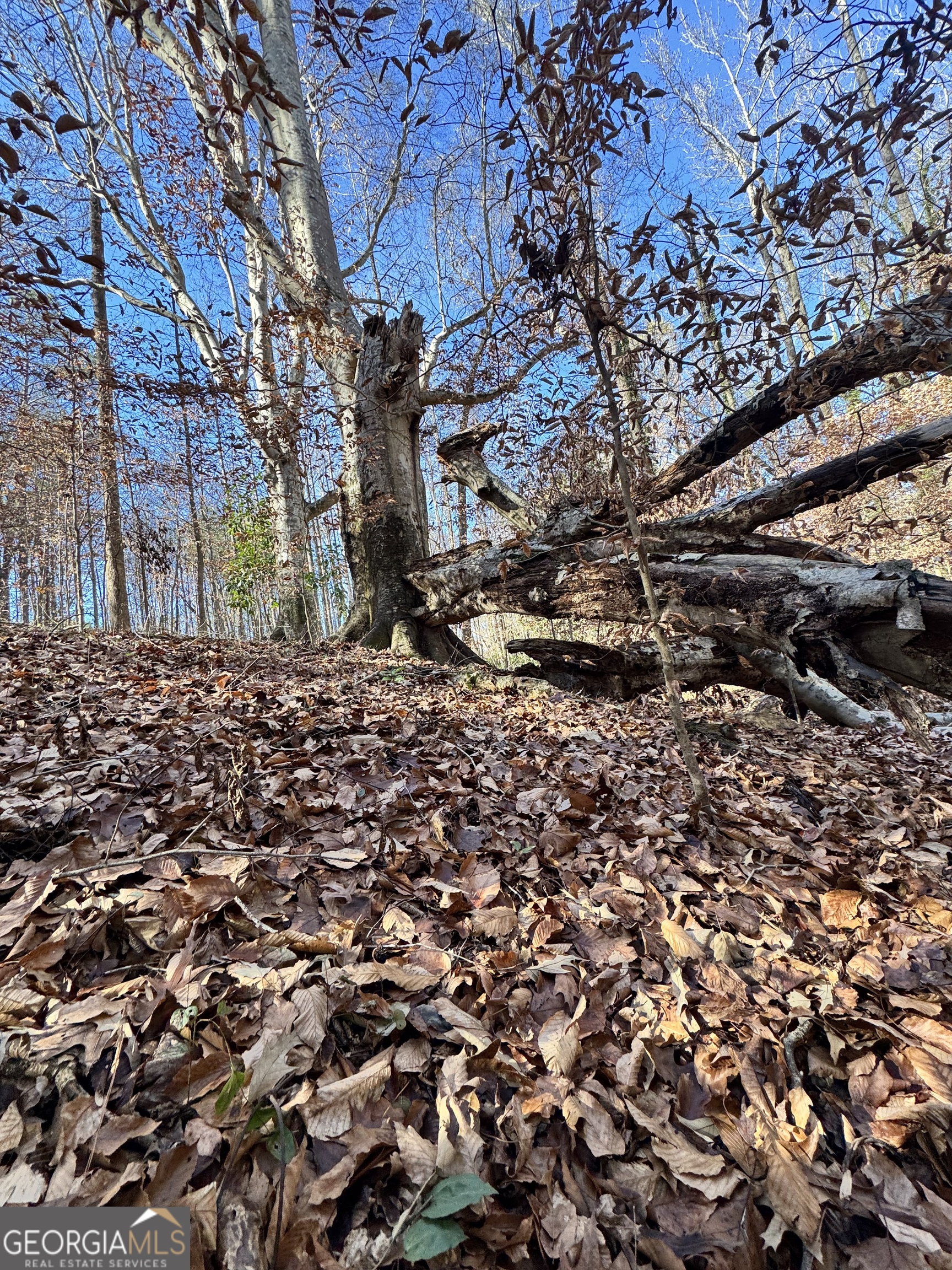 Lot 4 Miller Street Lithia Springs GA 30122