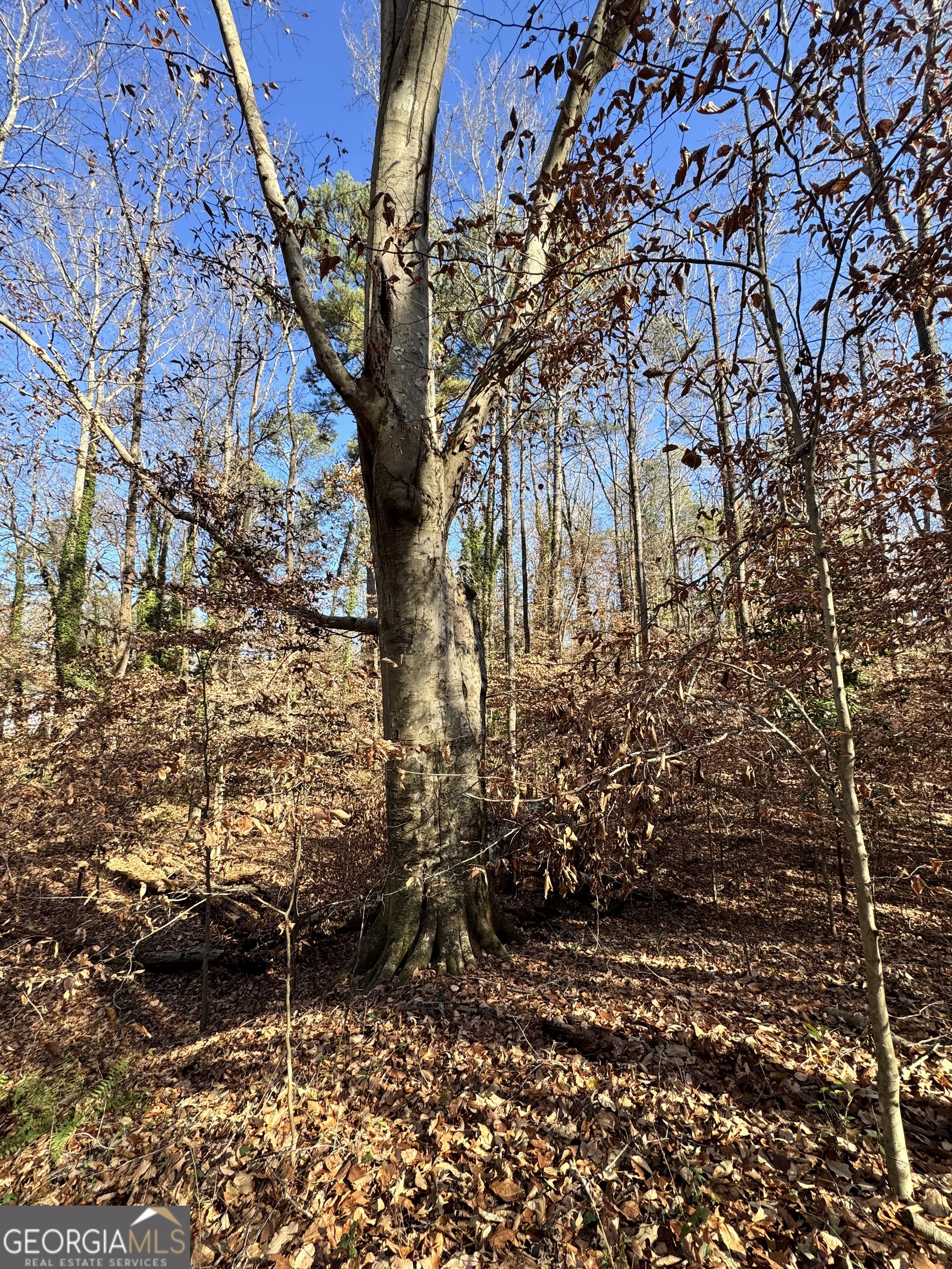 Lot 4 Miller Street Lithia Springs GA 30122