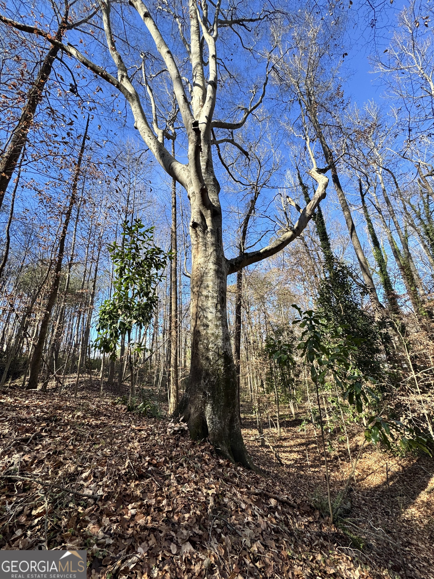 Lot 4 Miller Street Lithia Springs GA 30122