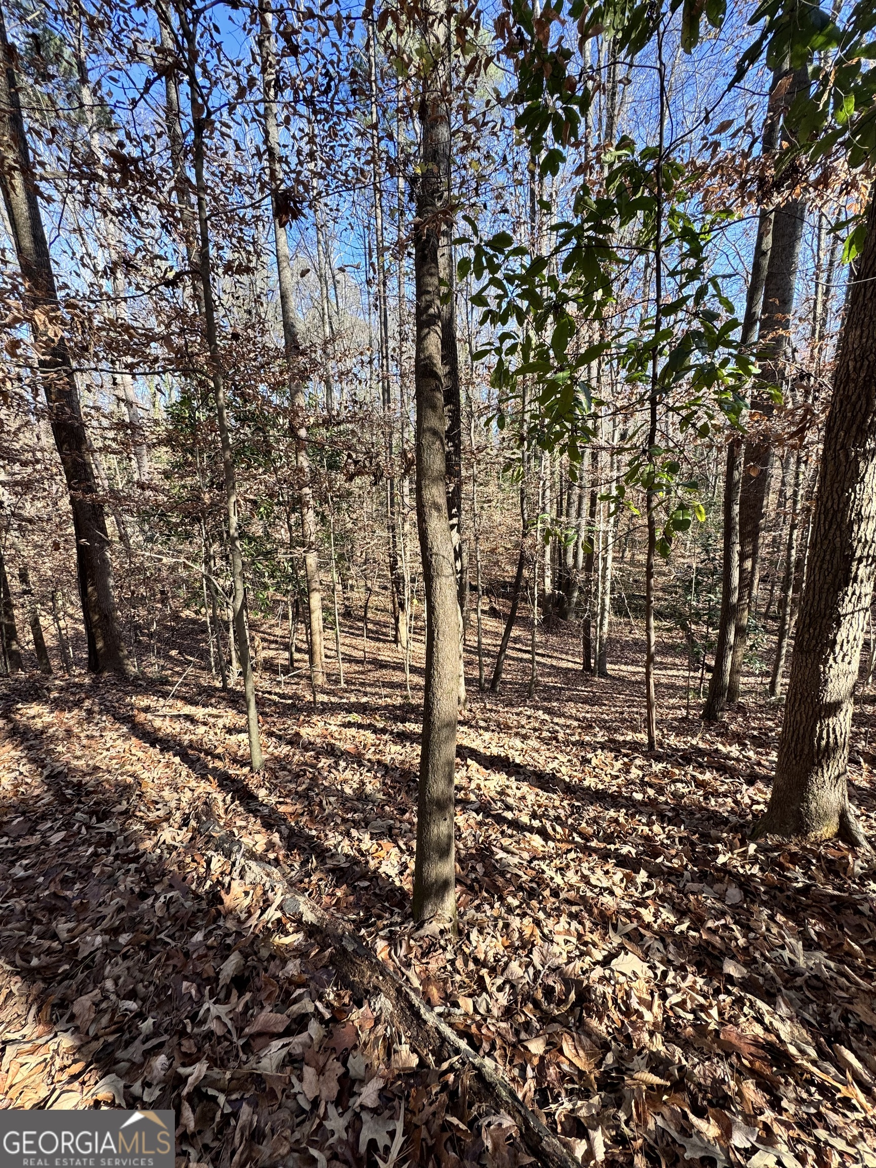 Lot 4 Miller Street Lithia Springs GA 30122