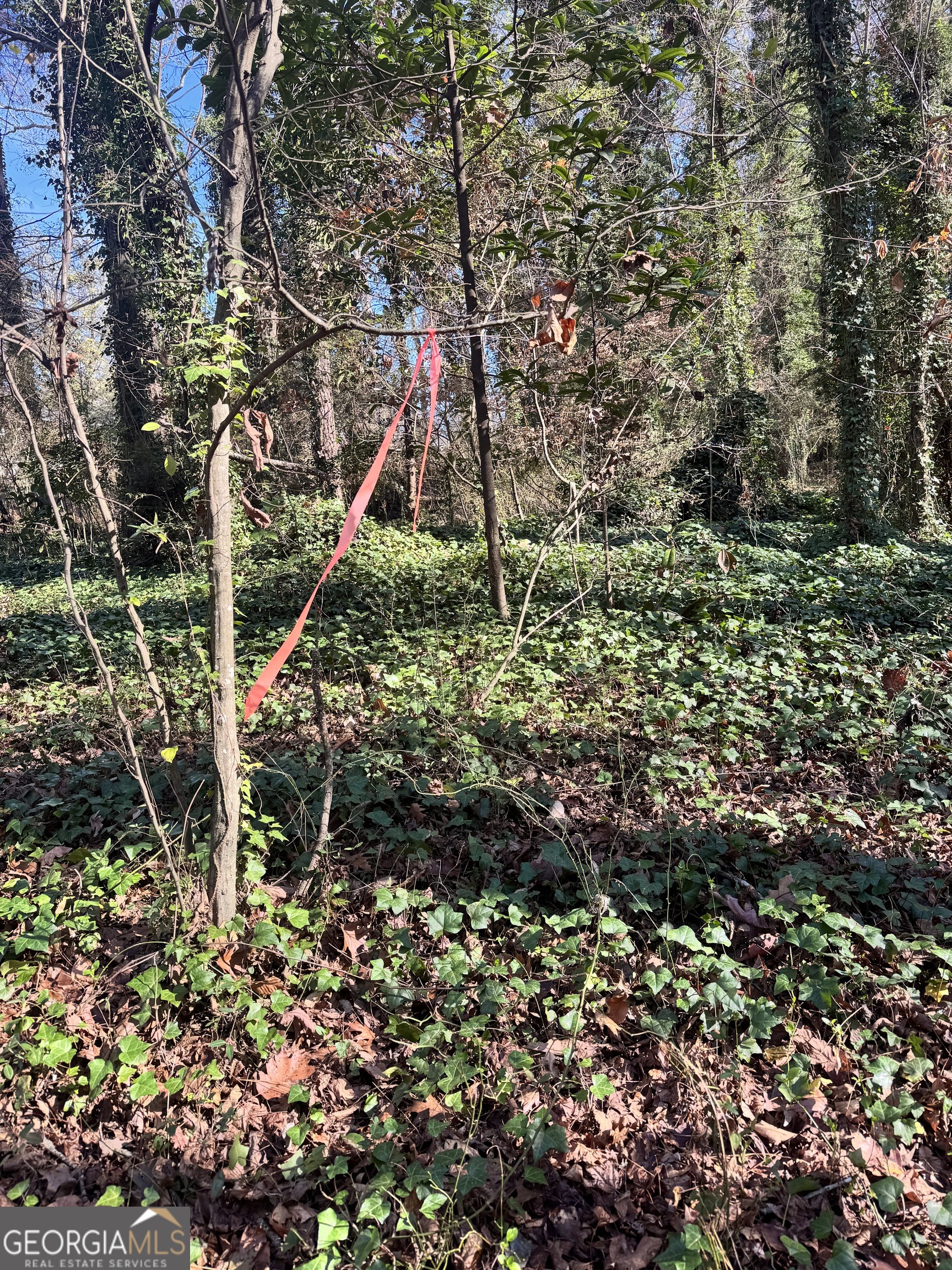 Lot 4 Miller Street Lithia Springs GA 30122