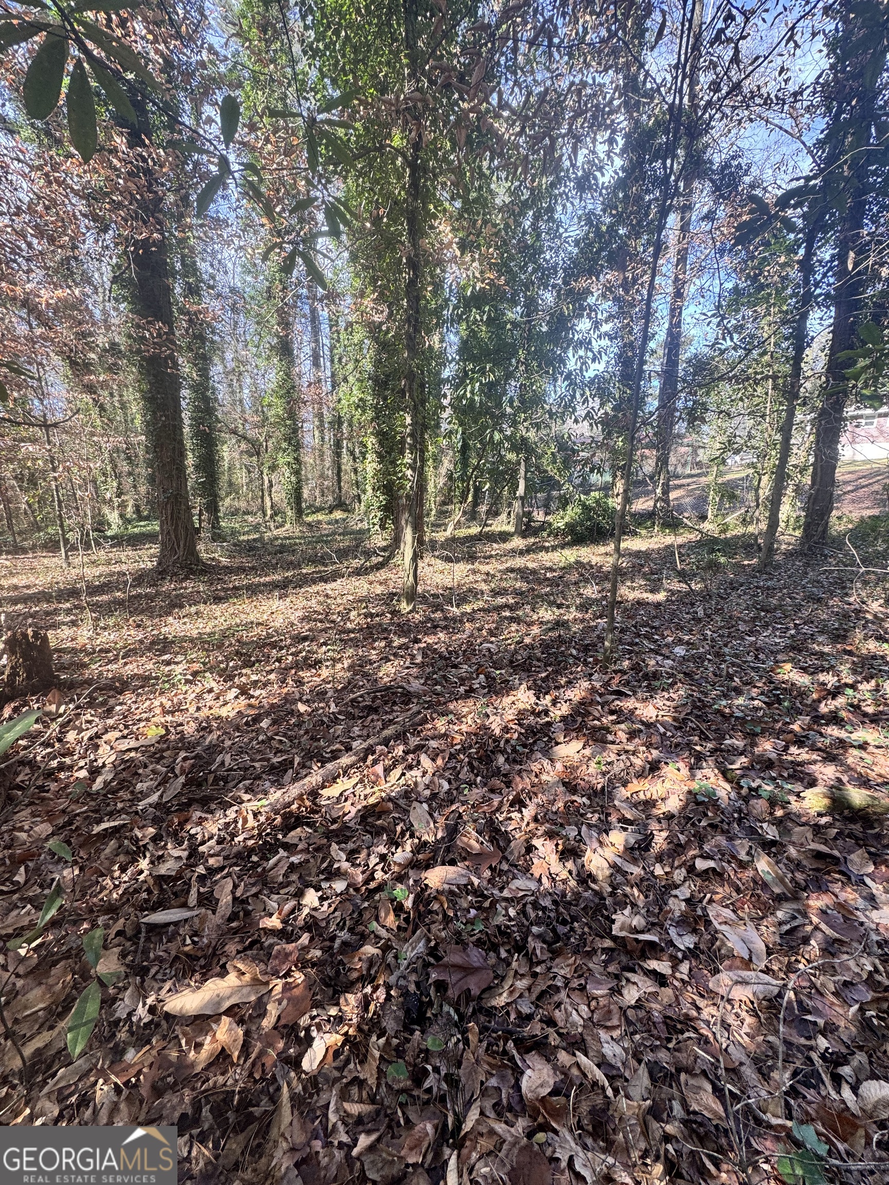 Lot 4 Miller Street Lithia Springs GA 30122