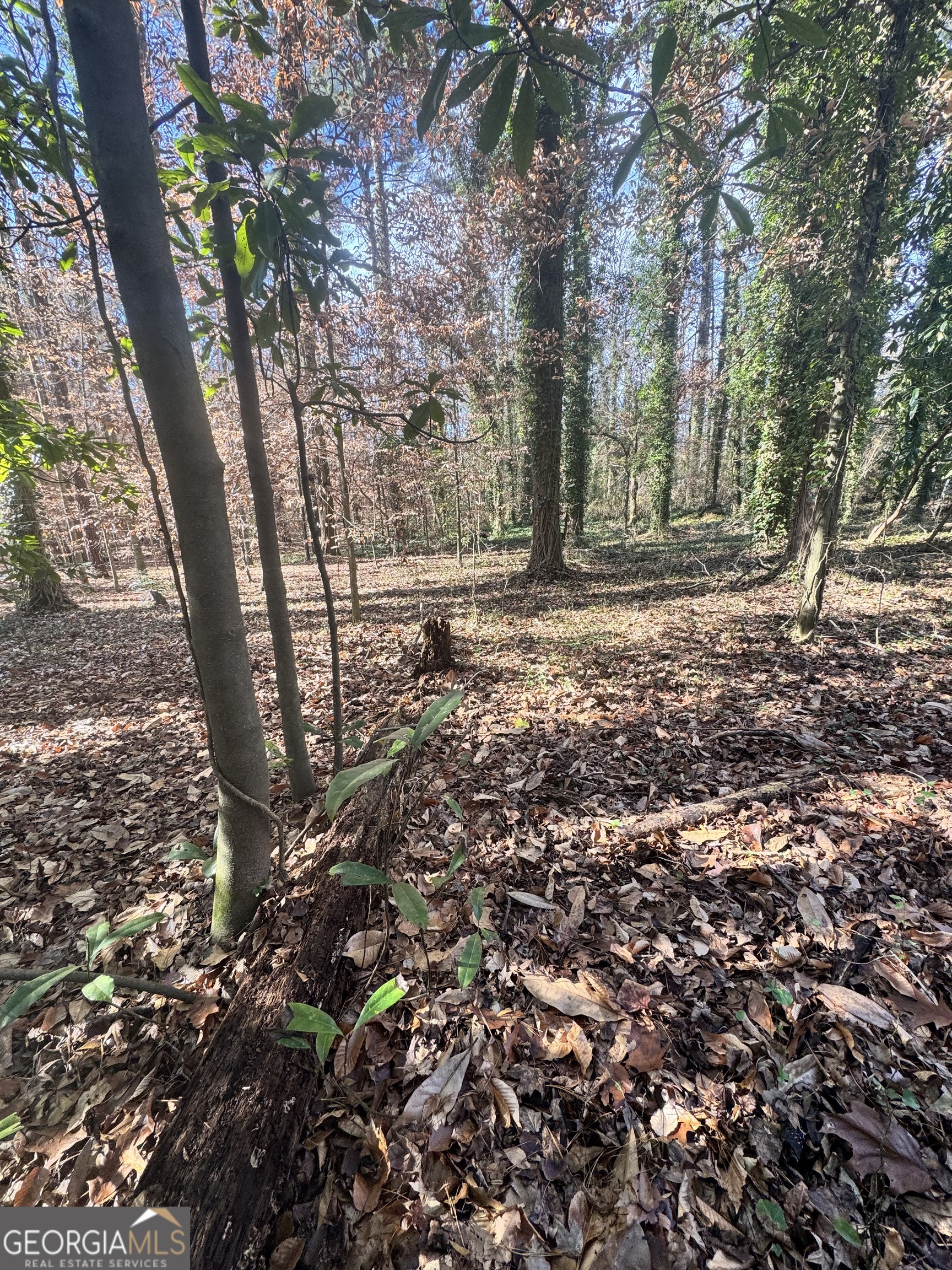 Lot 4 Miller Street Lithia Springs GA 30122