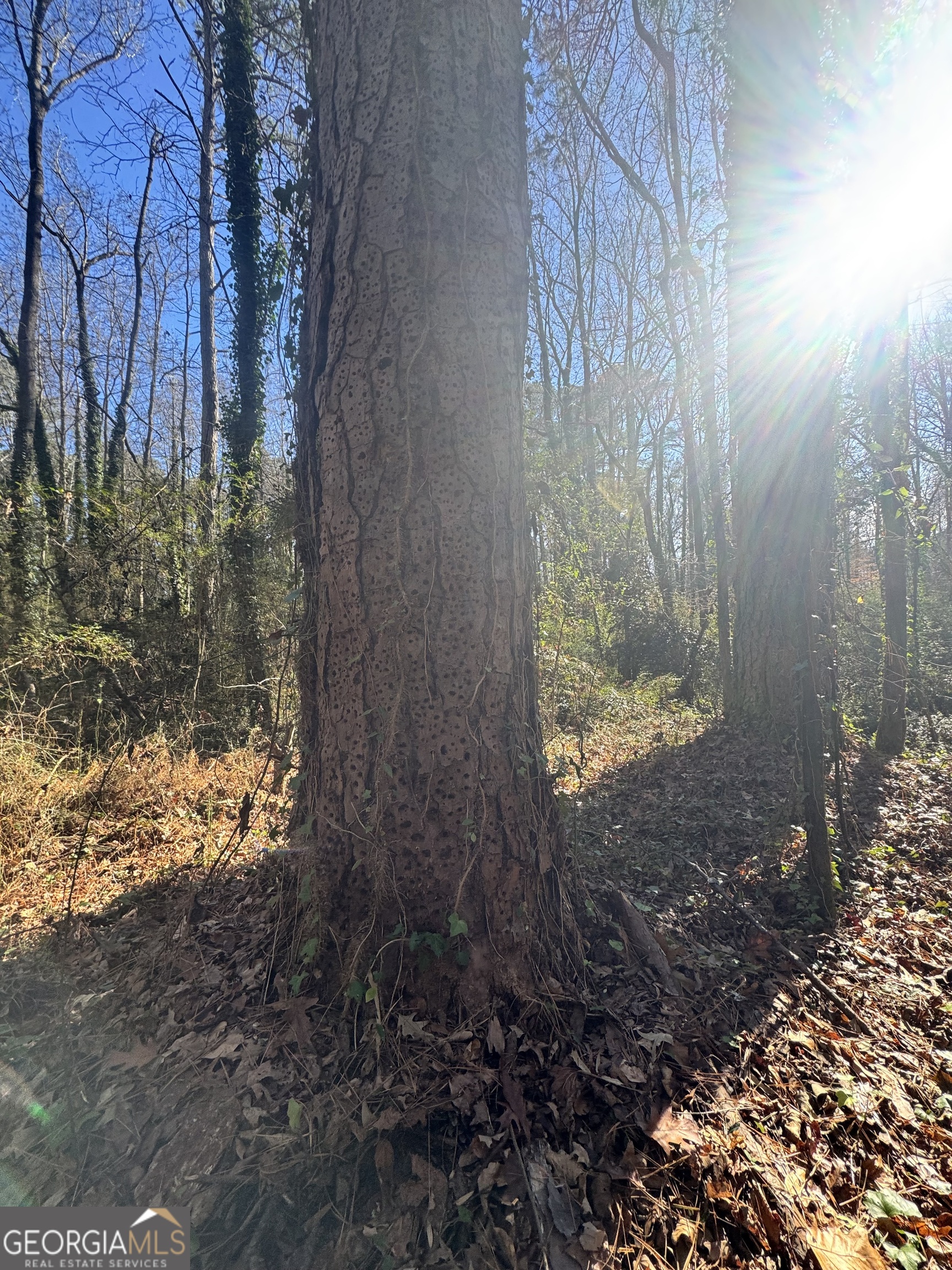 Lot 4 Miller Street Lithia Springs GA 30122