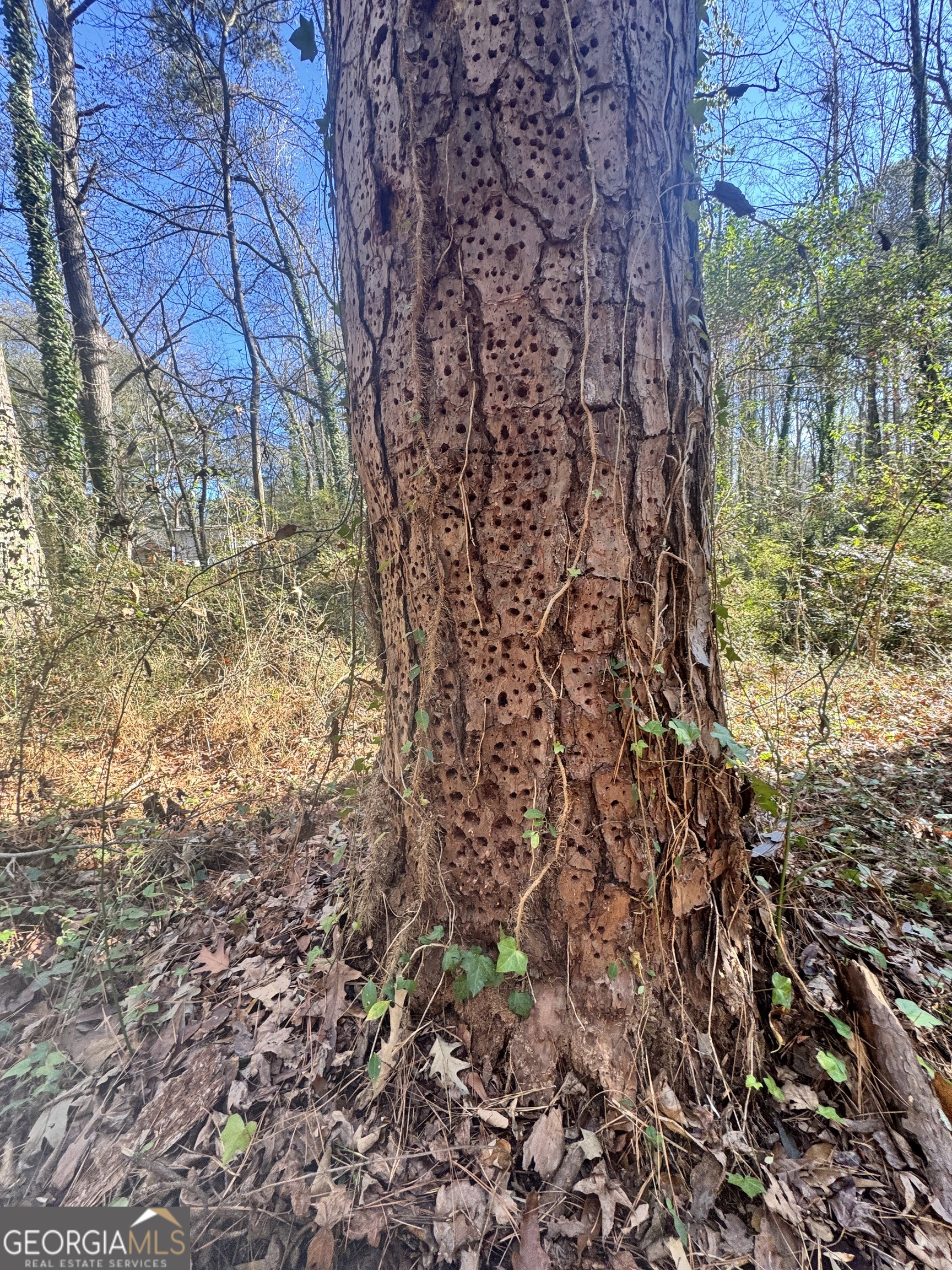 Lot 4 Miller Street Lithia Springs GA 30122