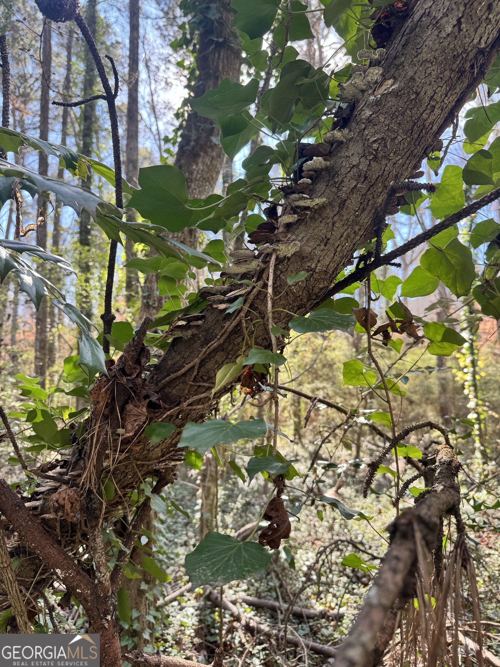 Lot 4 Miller Street Lithia Springs GA 30122