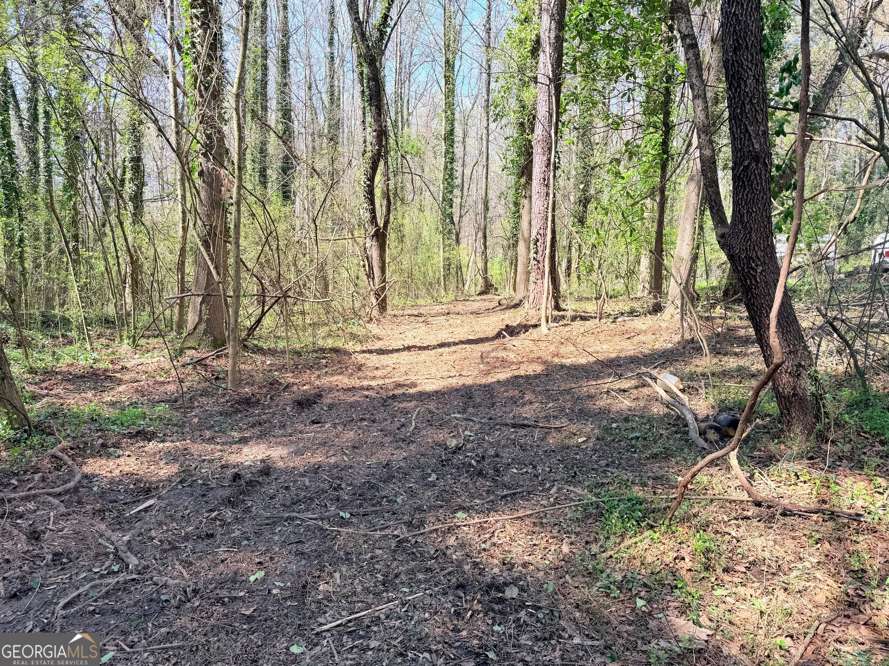 Lot 4 Miller Street Lithia Springs GA 30122