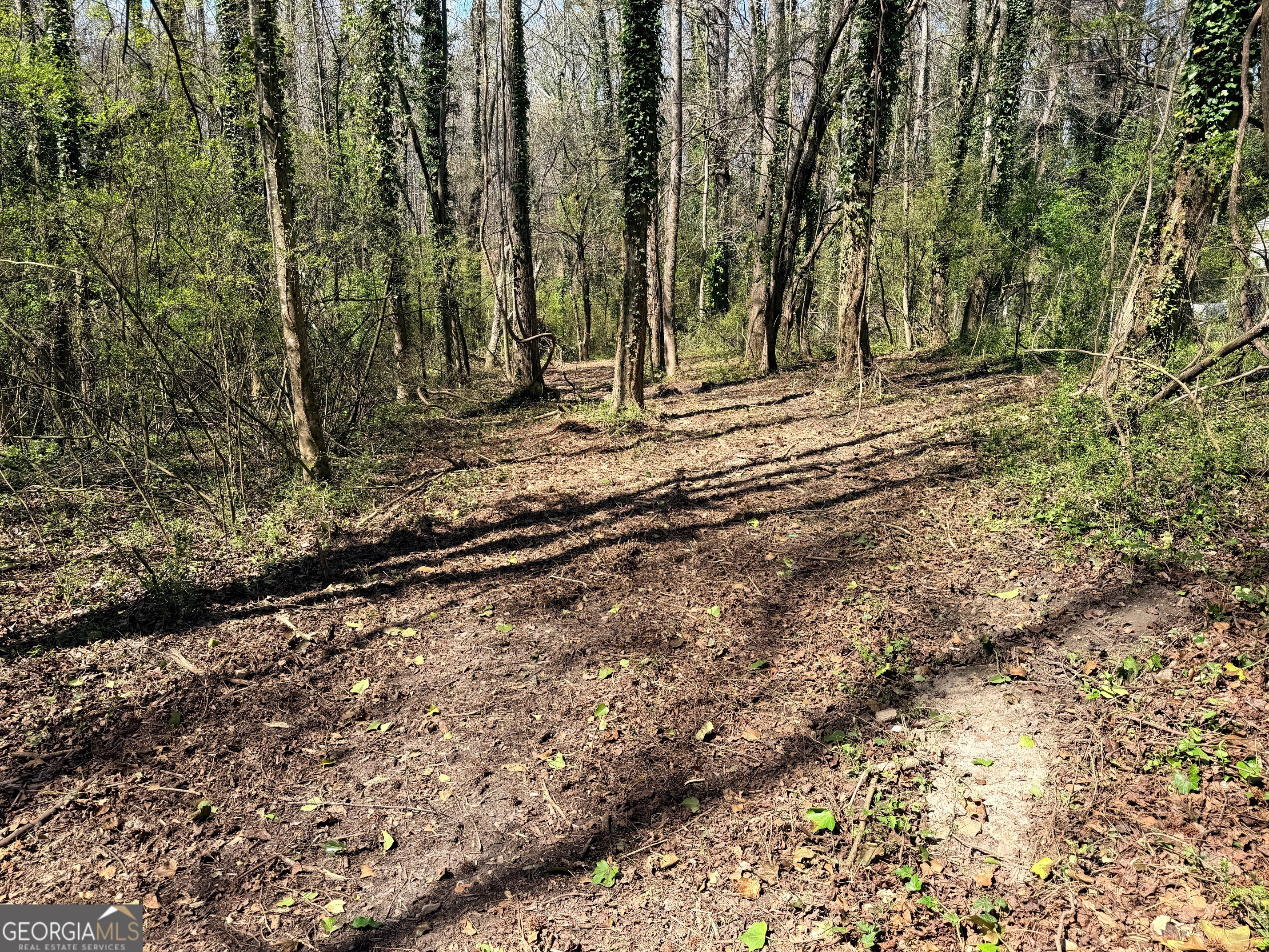 Lot 4 Miller Street Lithia Springs GA 30122