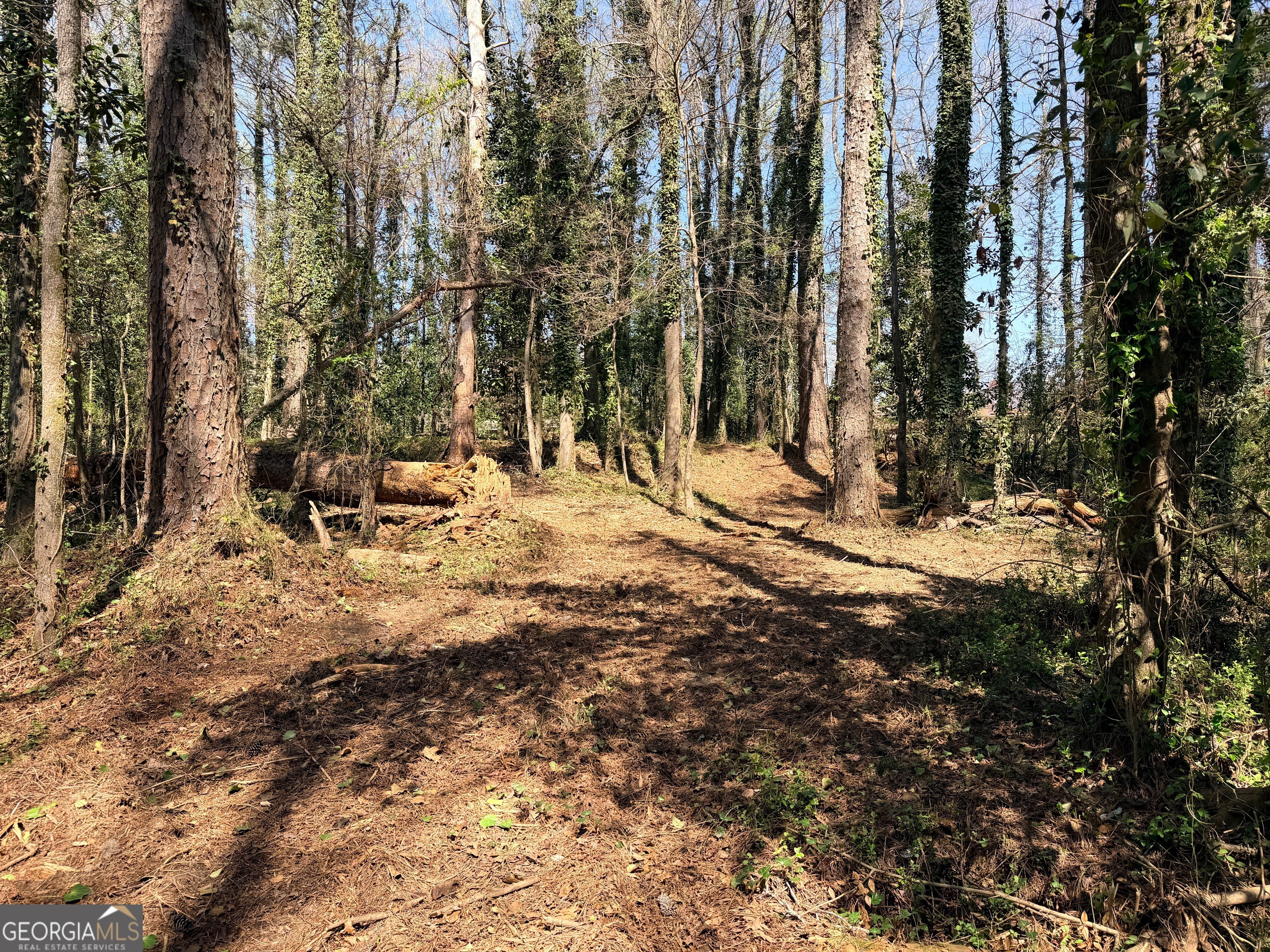 Lot 4 Miller Street Lithia Springs GA 30122