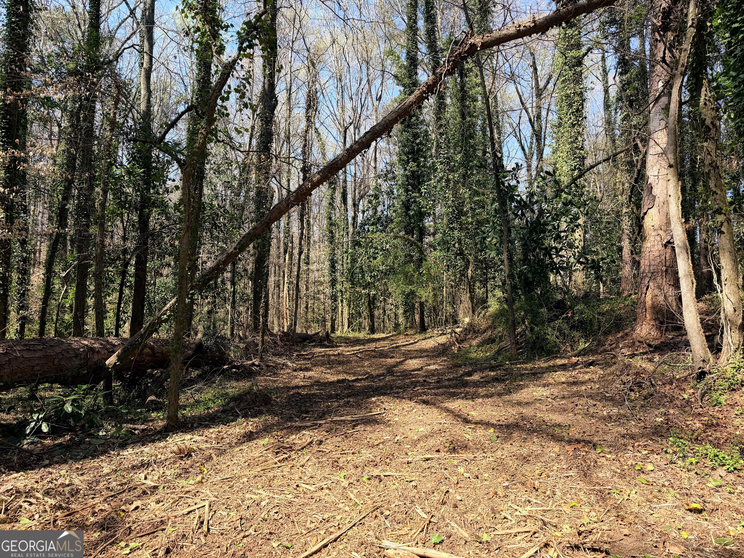 Lot 4 Miller Street Lithia Springs GA 30122