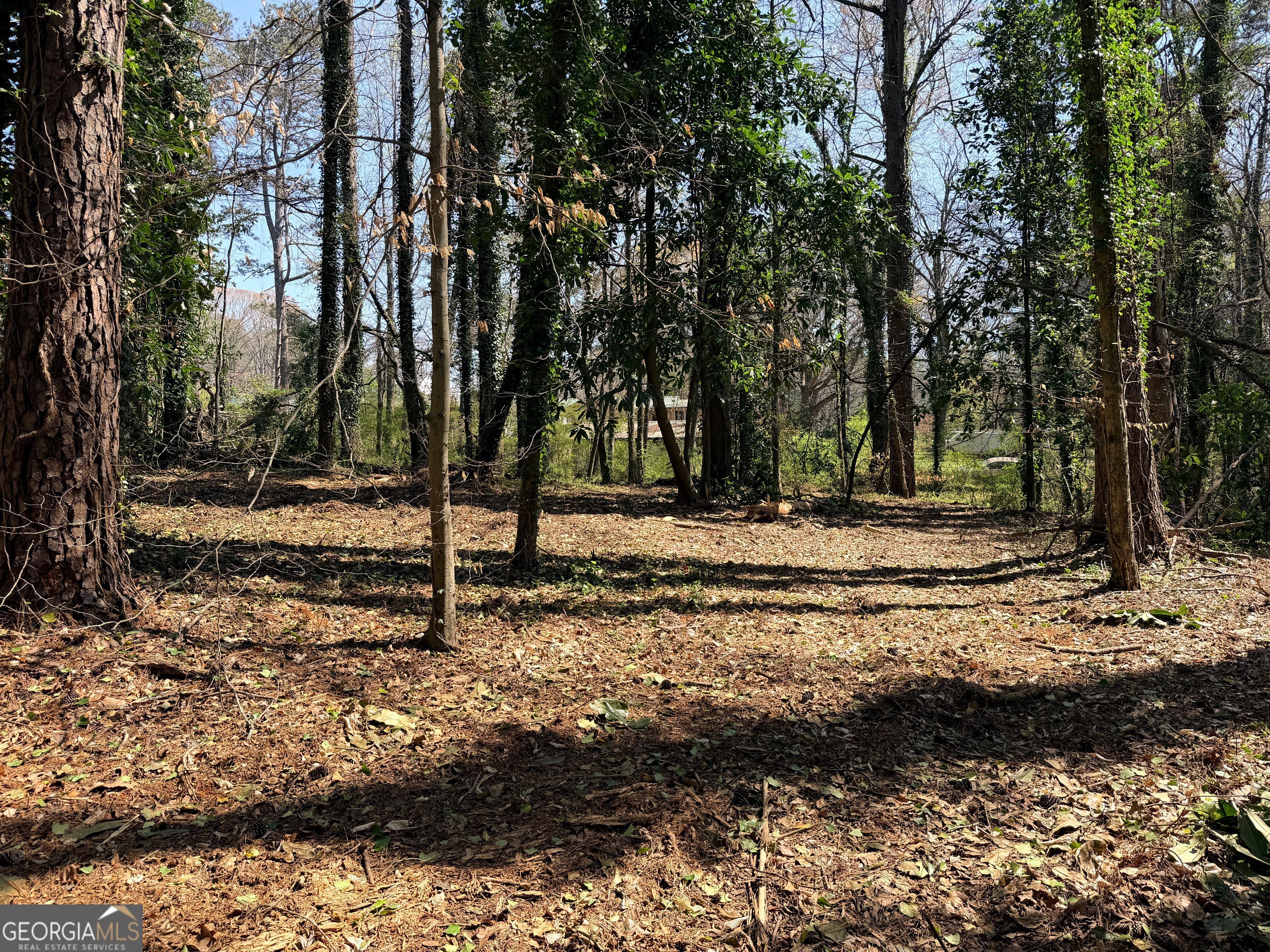 Lot 4 Miller Street Lithia Springs GA 30122