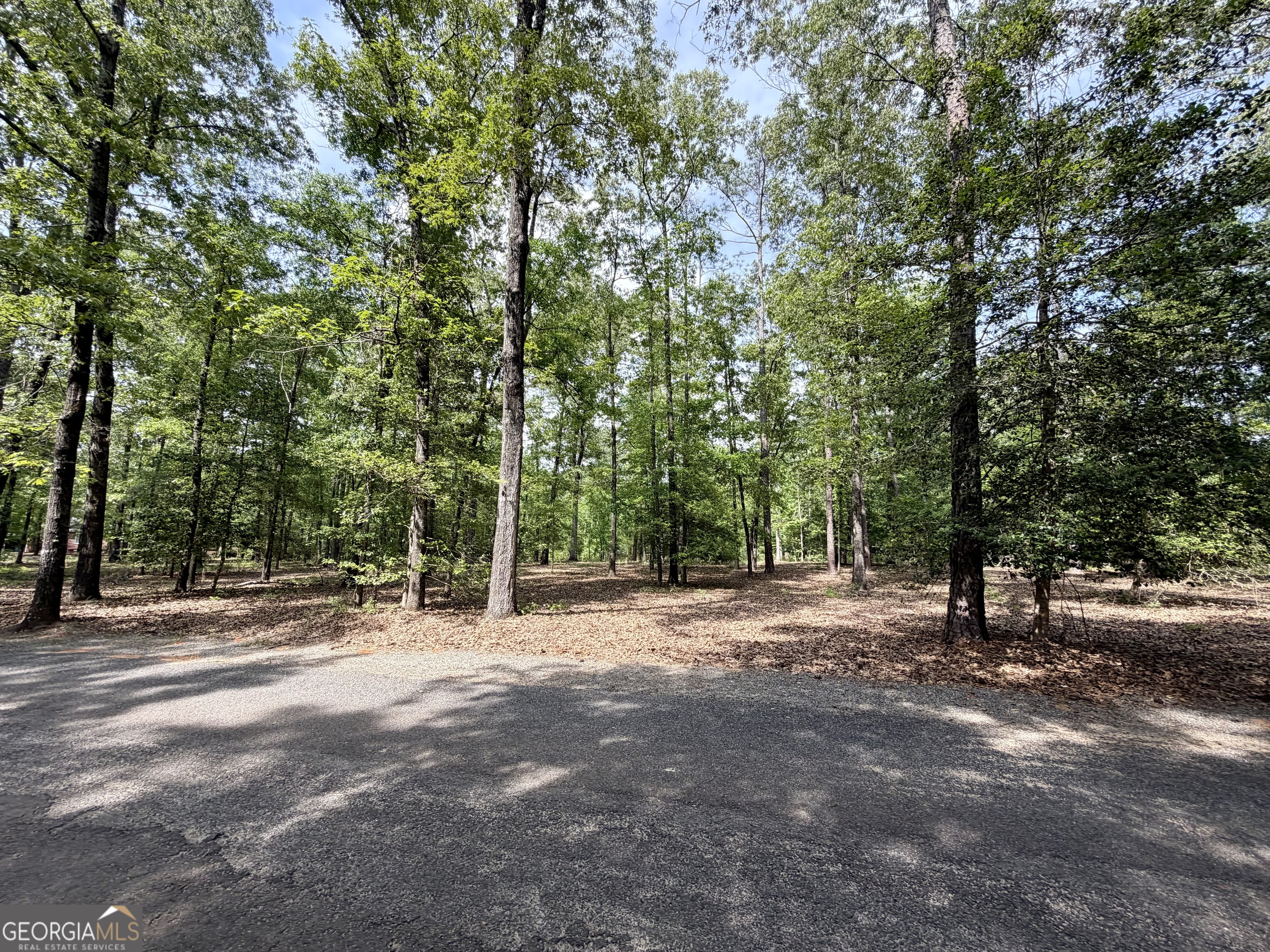 0 Deer Creek Trail Dublin GA 31021