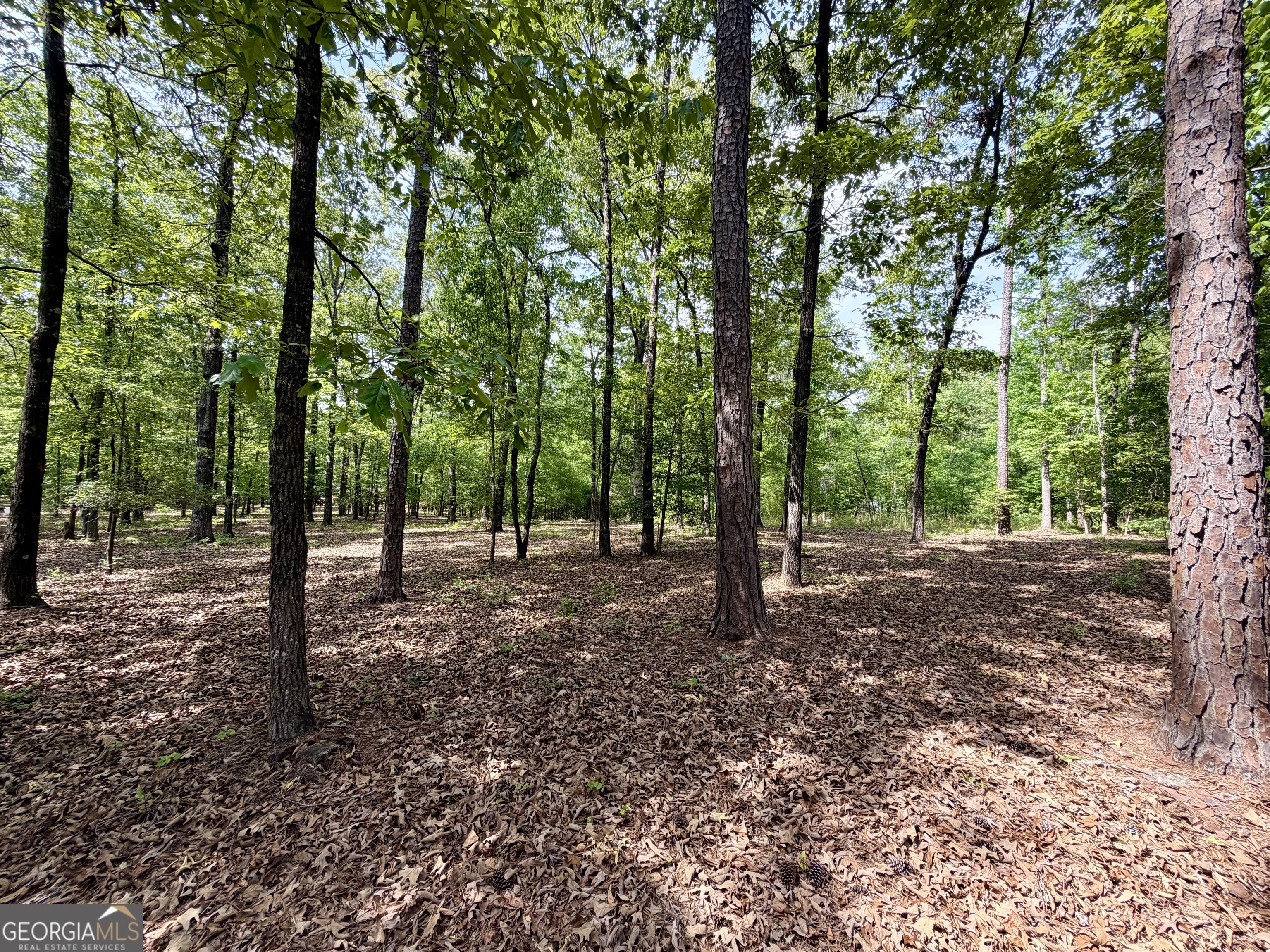 0 Deer Creek Trail Dublin GA 31021