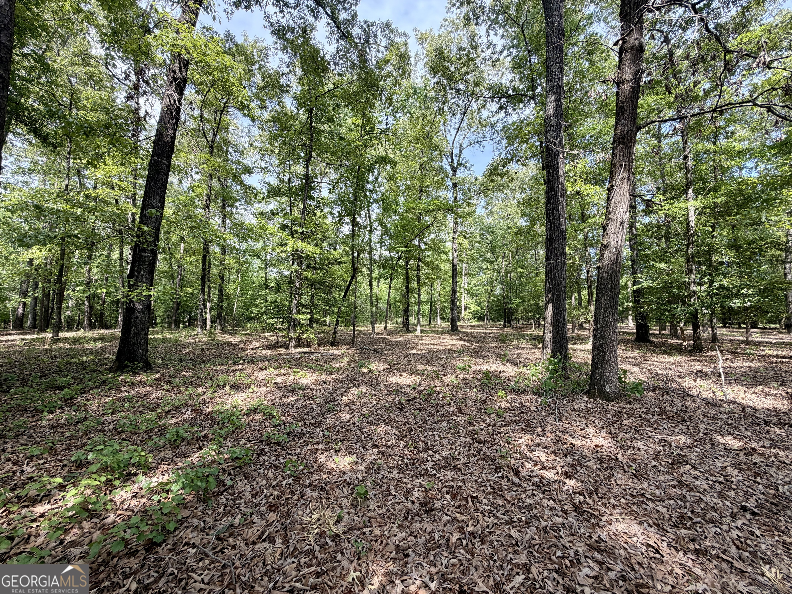 0 Deer Creek Trail Dublin GA 31021