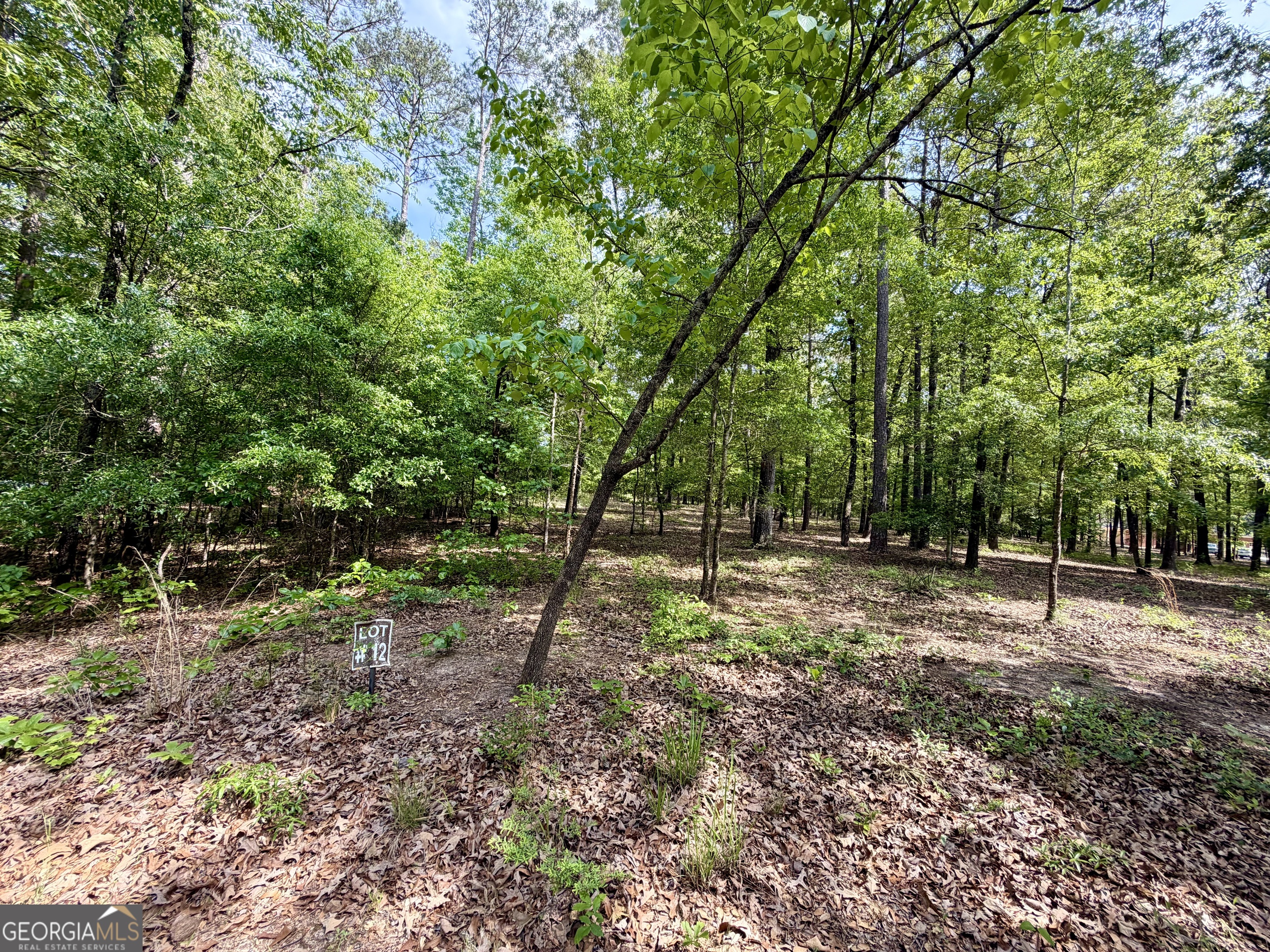 0 Deer Creek Trail Dublin GA 31021