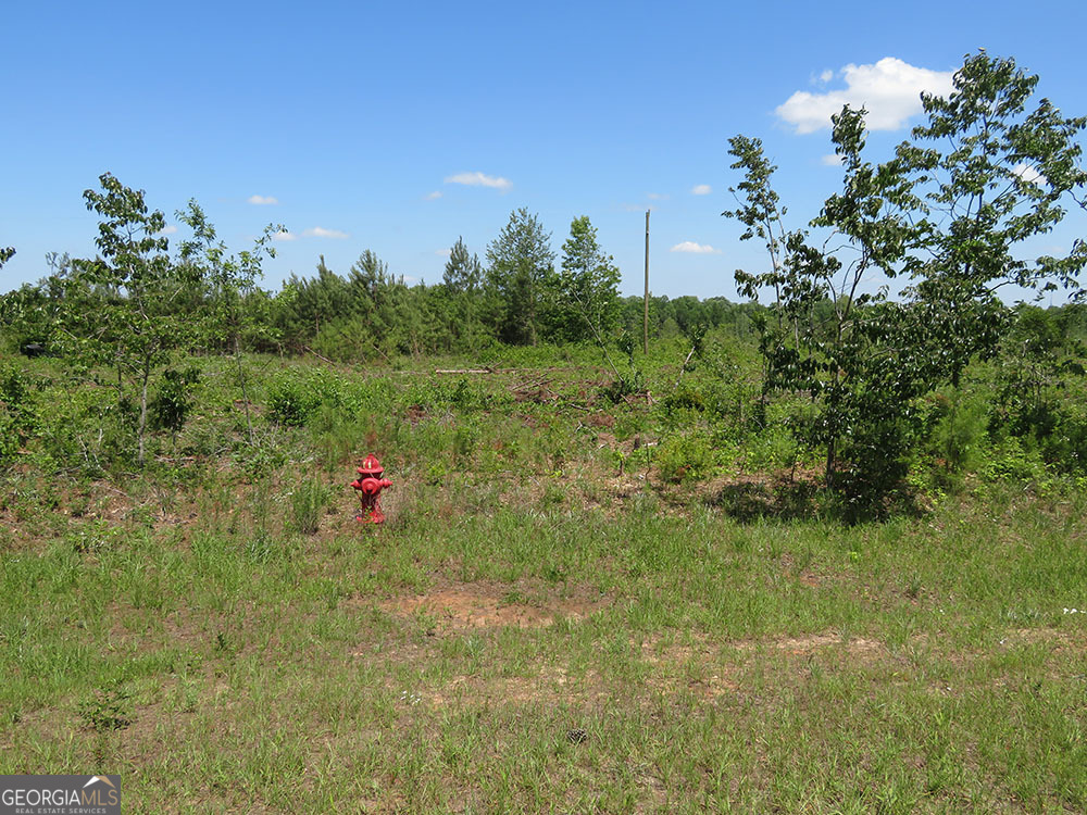 1 Goolsby Road Ellaville GA 31806
